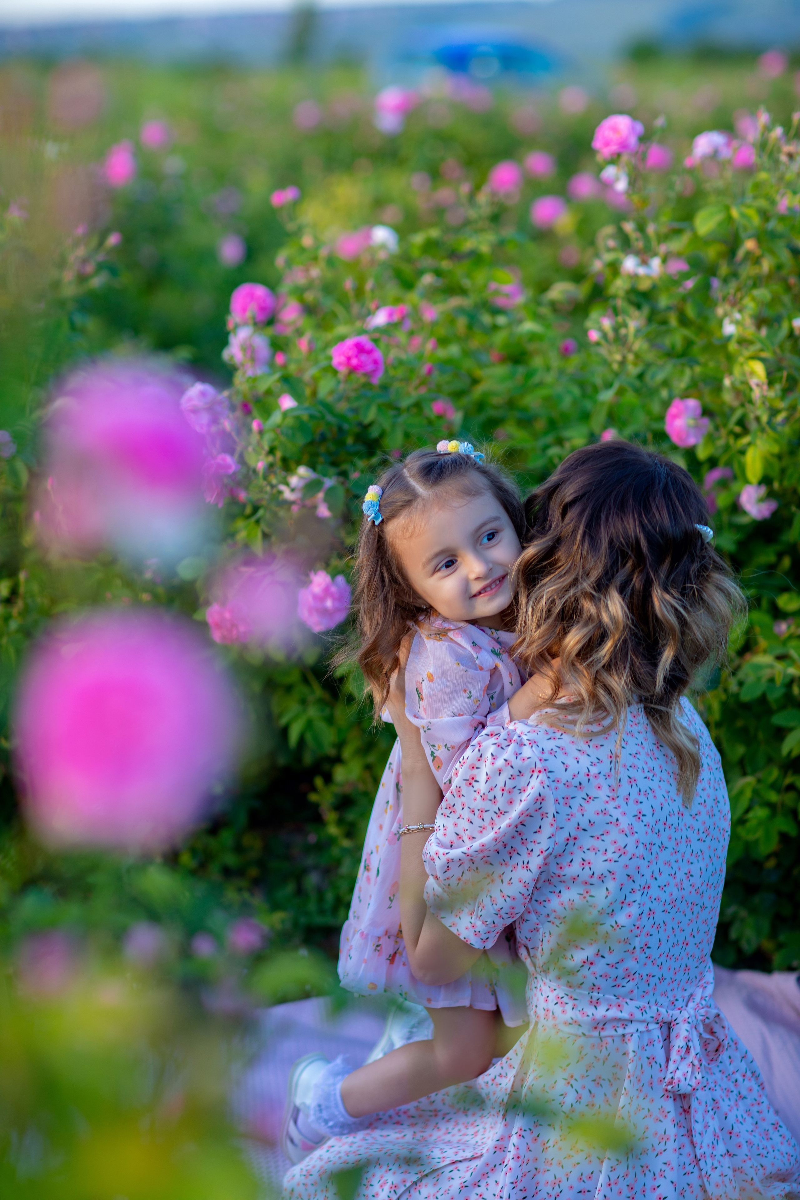 Чайная роза. Фотограф Севастополь/Крым Светлана Евтушенко
