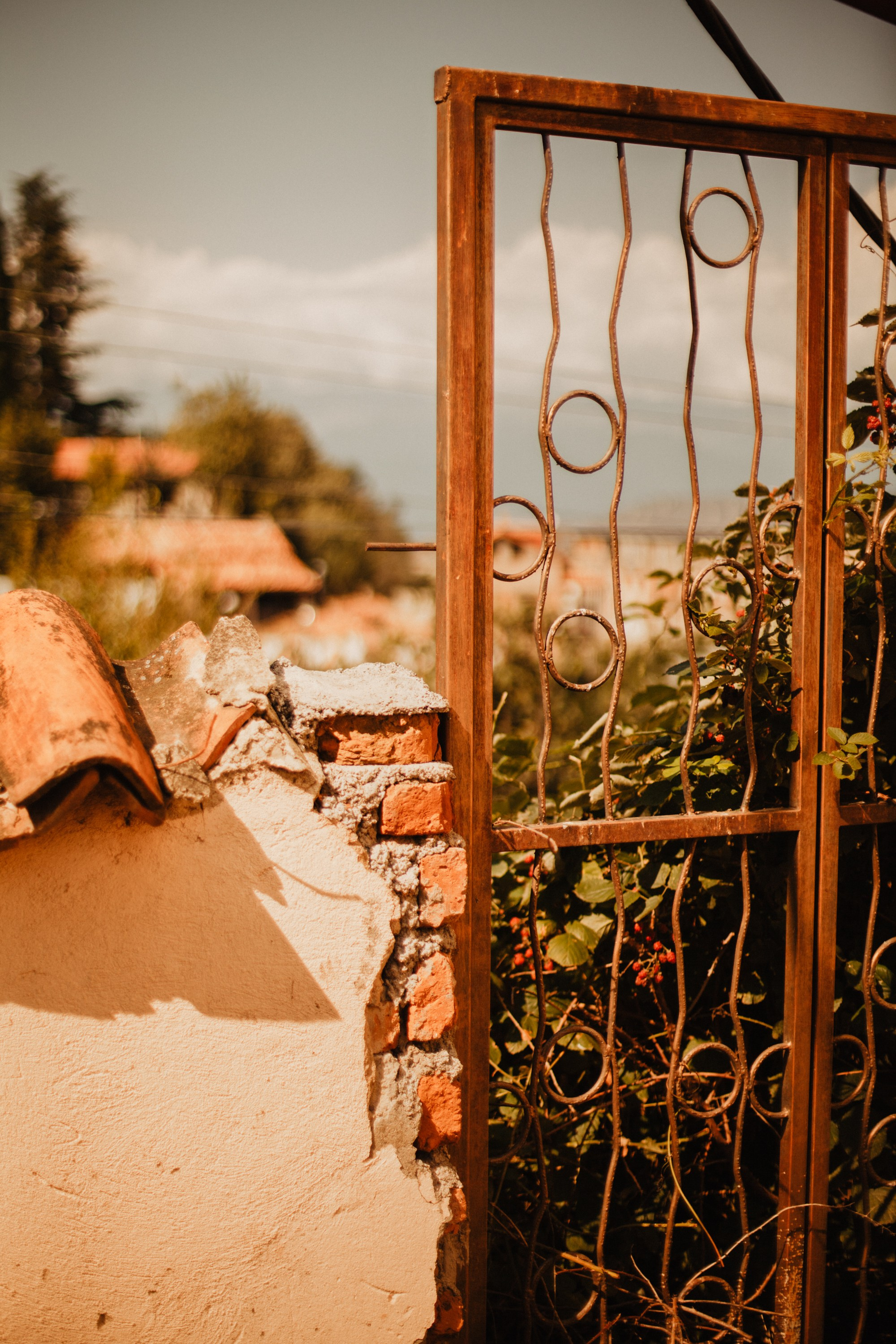 Грузинские каникулы. Violetta Skripka