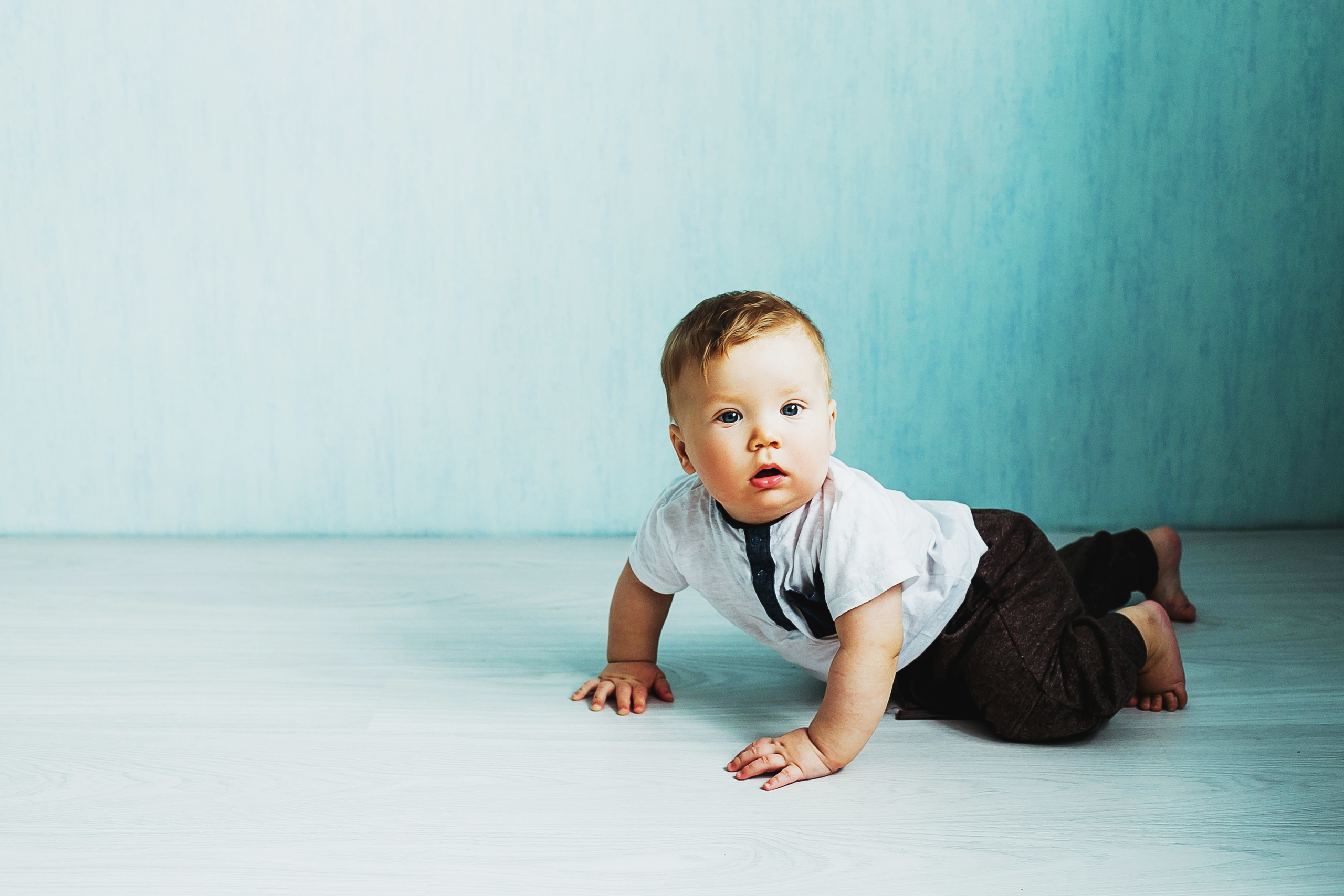 Лев. Фотограф Полина Егорова город Тюмень