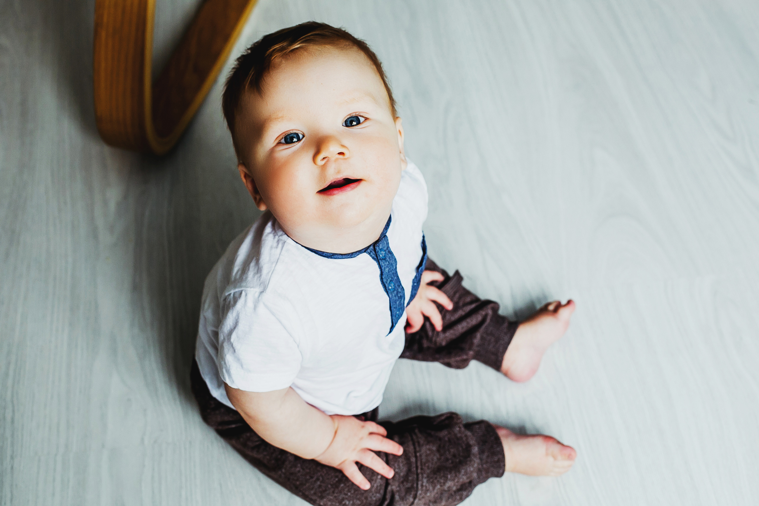 Лев. Фотограф Полина Егорова город Тюмень