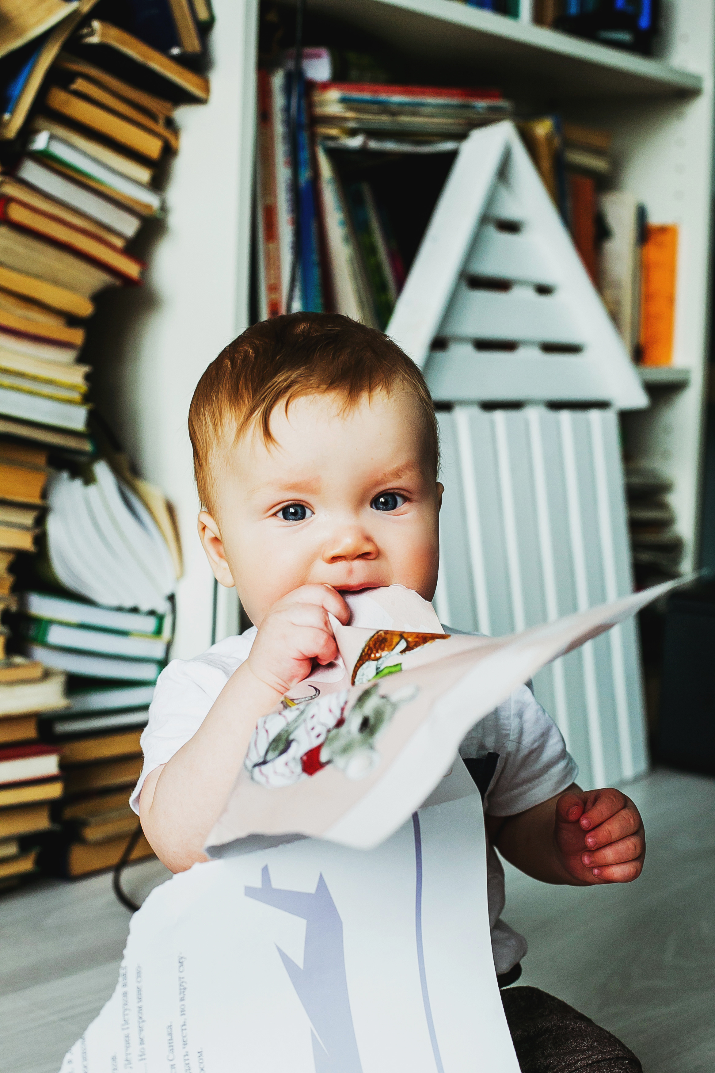 Лев. Фотограф Полина Егорова город Тюмень
