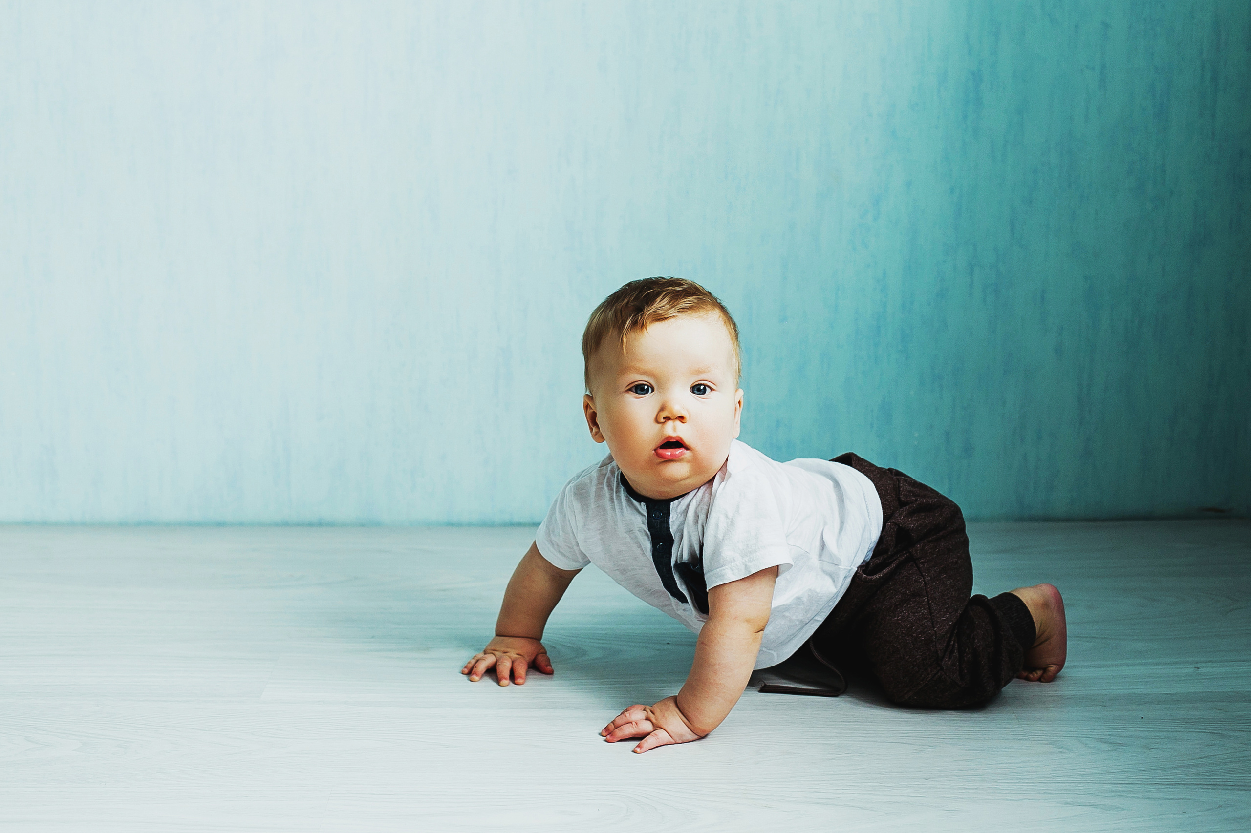 Лев. Фотограф Полина Егорова город Тюмень