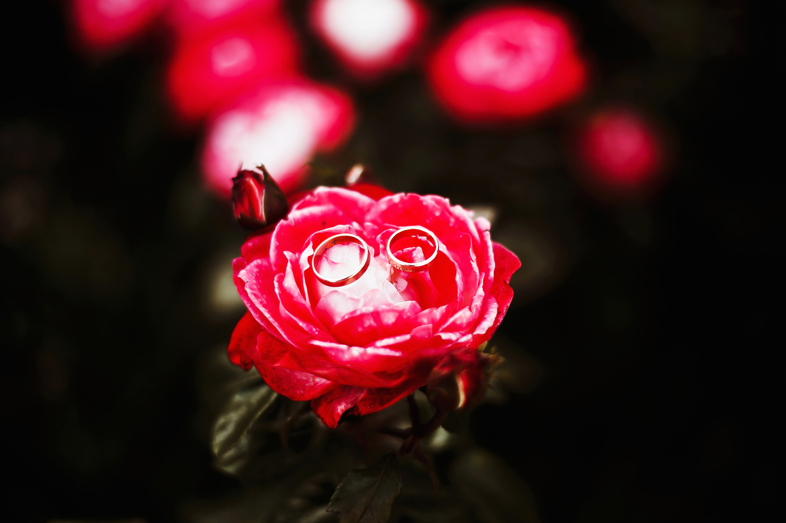 Сергей и Людмила. Город в любви. Фотограф Полина Егорова город Тюмень