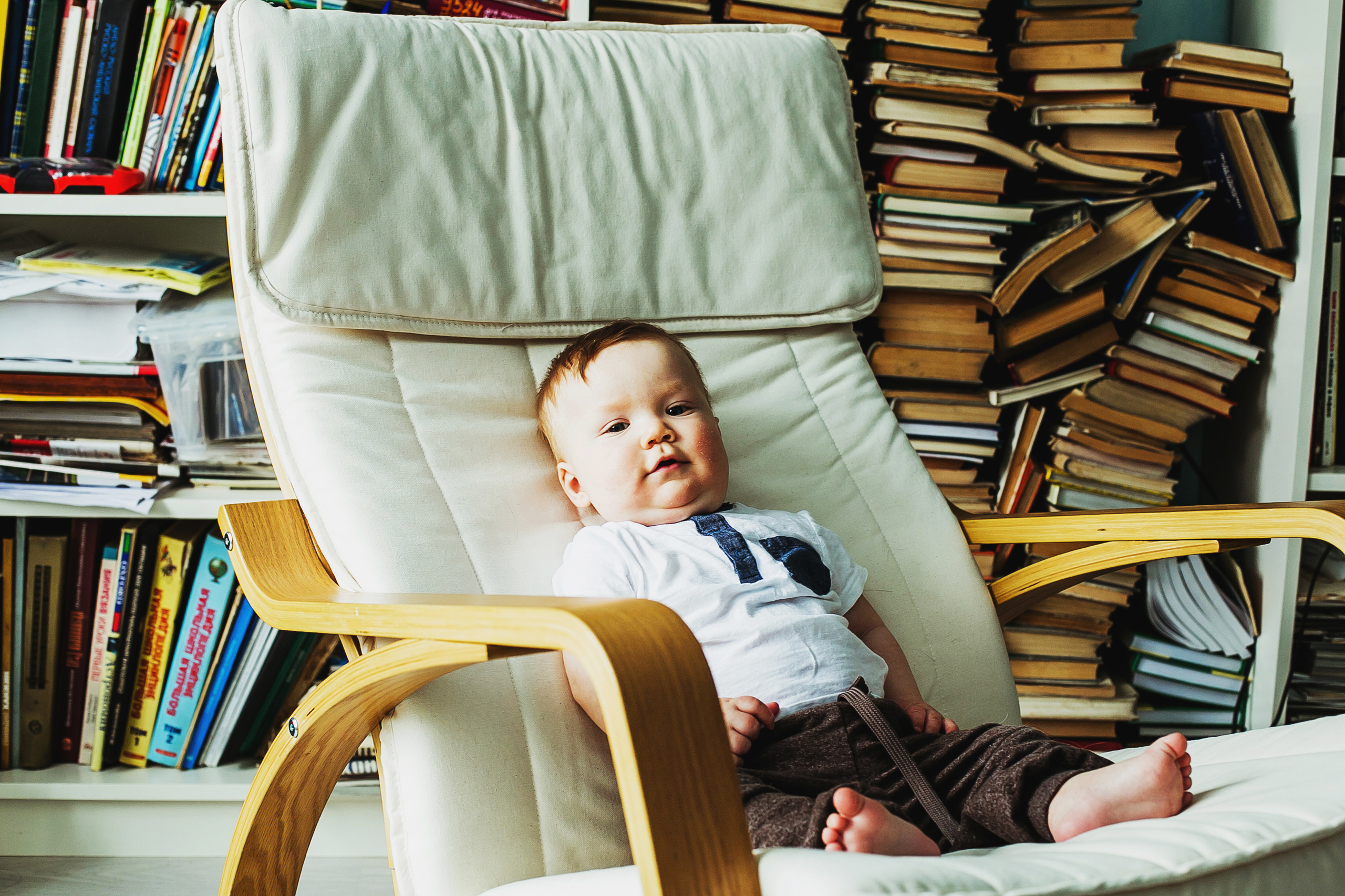 Лев. Фотограф Полина Егорова город Тюмень
