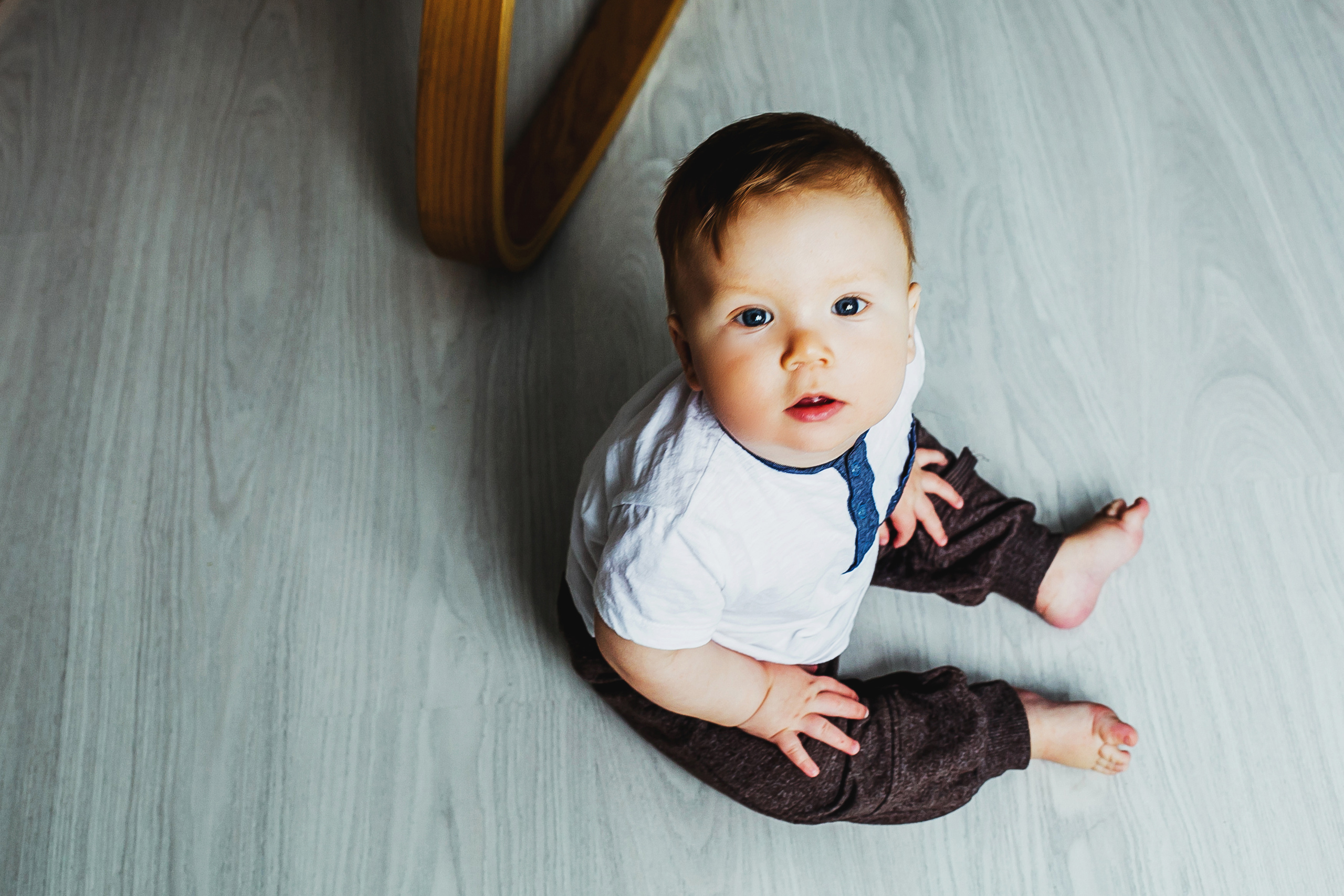 Лев. Фотограф Полина Егорова город Тюмень