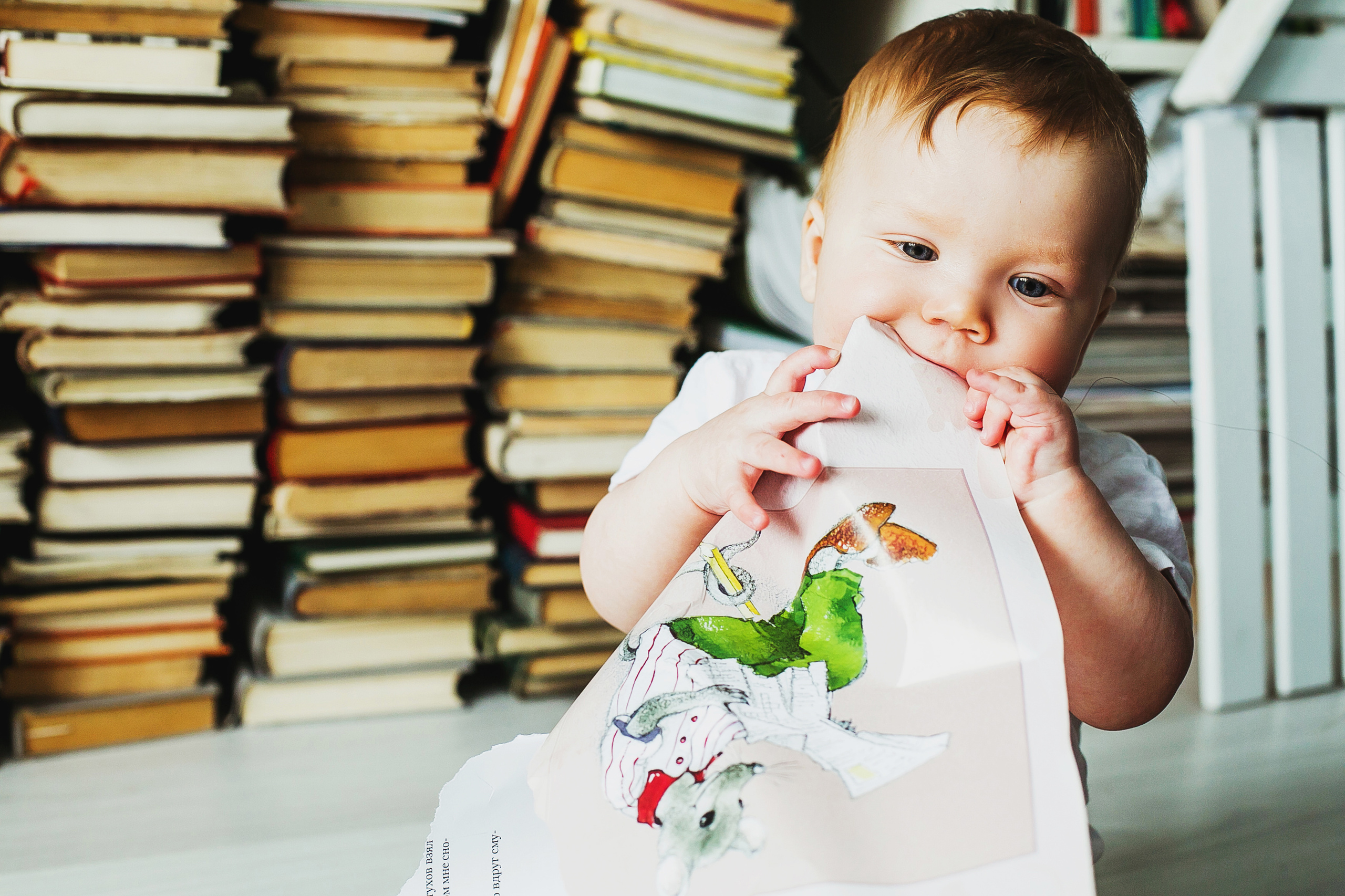 Лев. Фотограф Полина Егорова город Тюмень