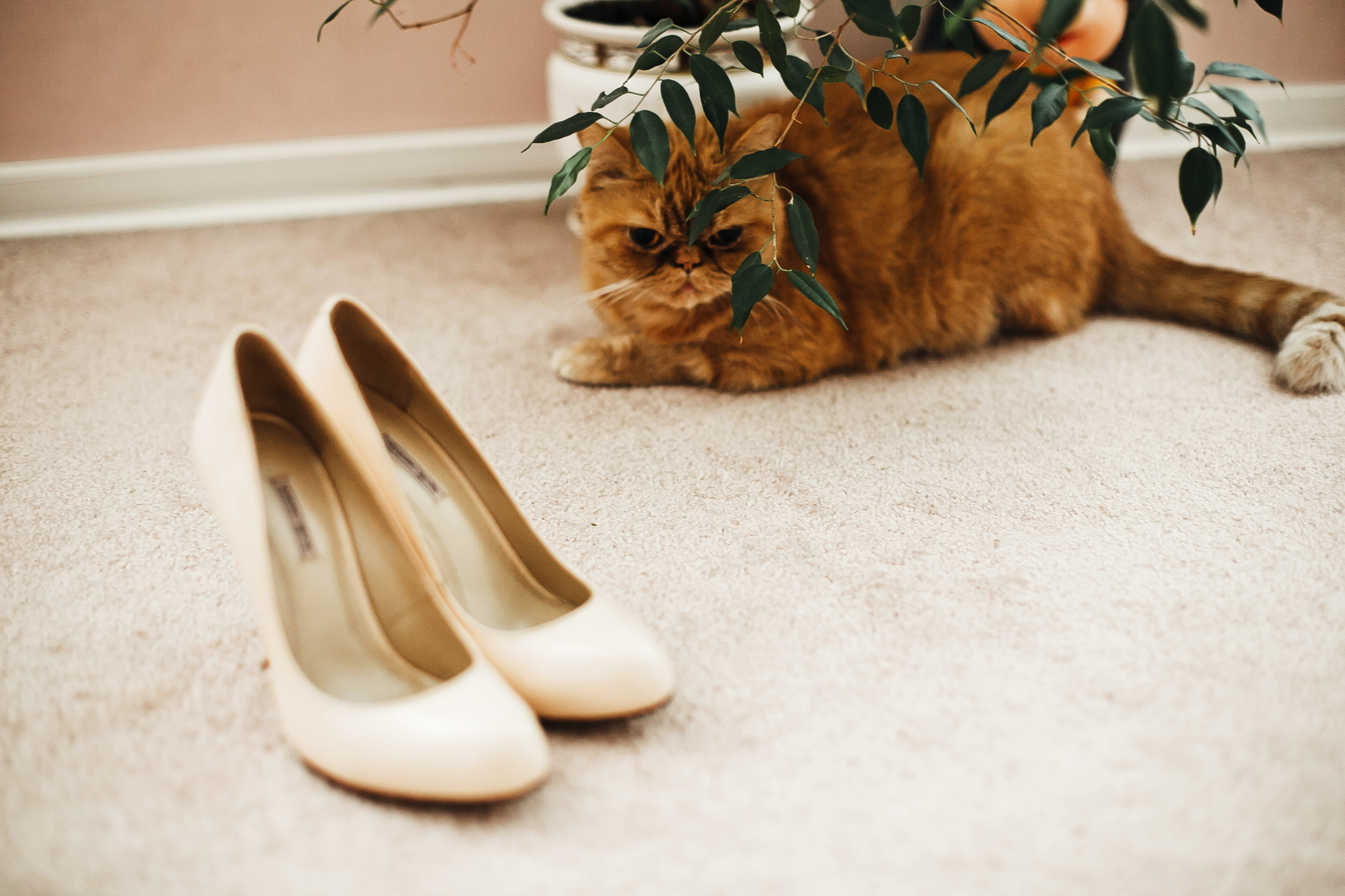 Михаил и Елена. Фотограф Полина Егорова город Тюмень