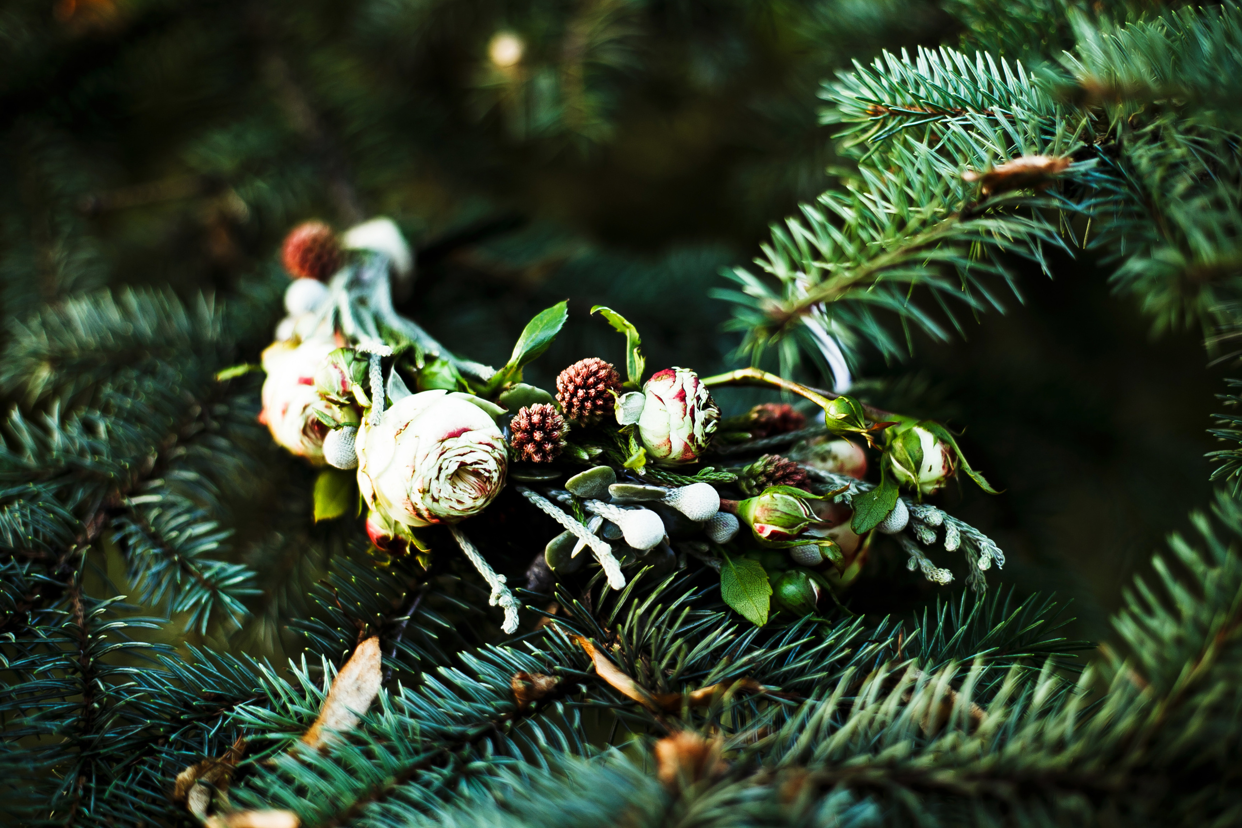 Сергей и Людмила. Город в любви. Фотограф Полина Егорова город Тюмень