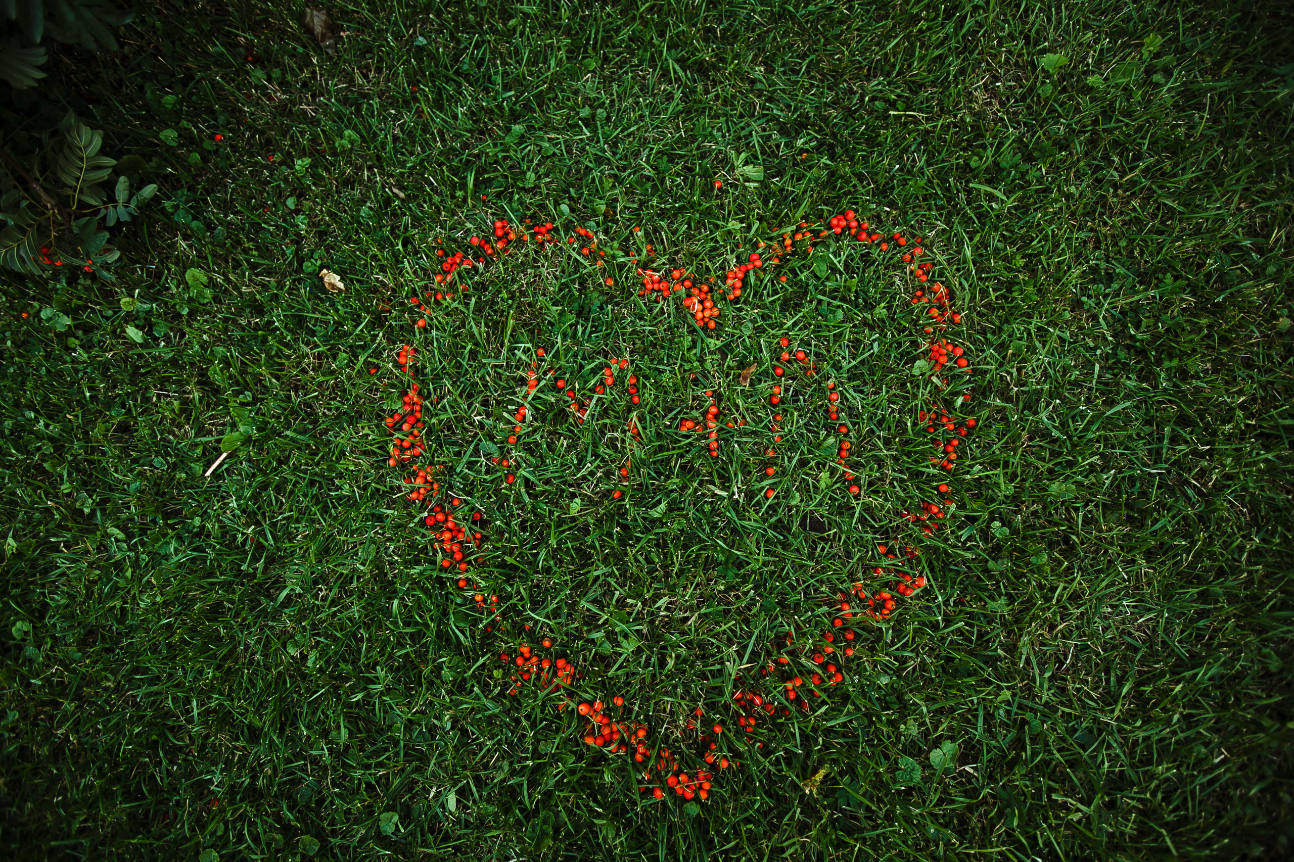 Михаил и Елена. Любовь в городе. Фотограф Полина Егорова город Тюмень