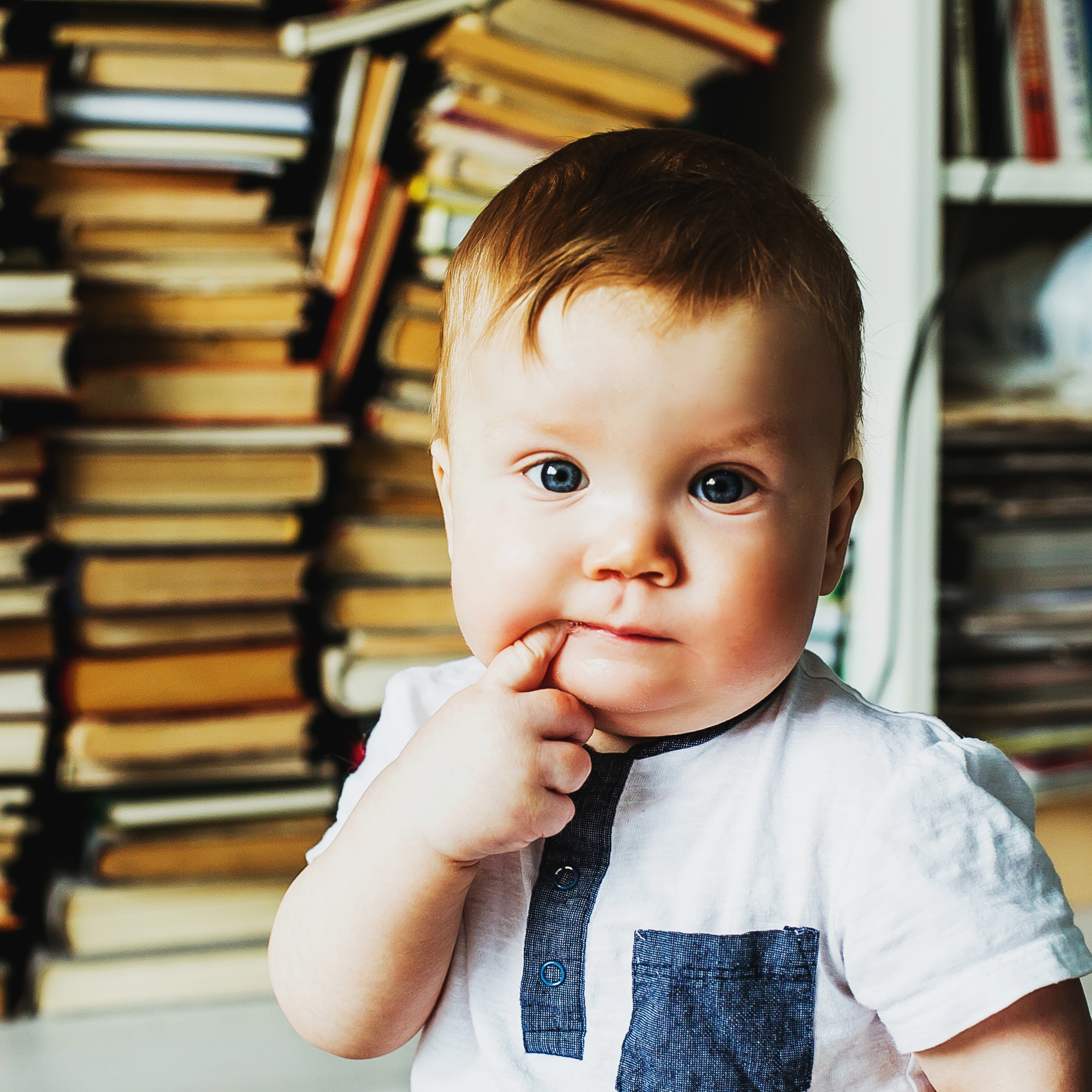Лев. Фотограф Полина Егорова город Тюмень