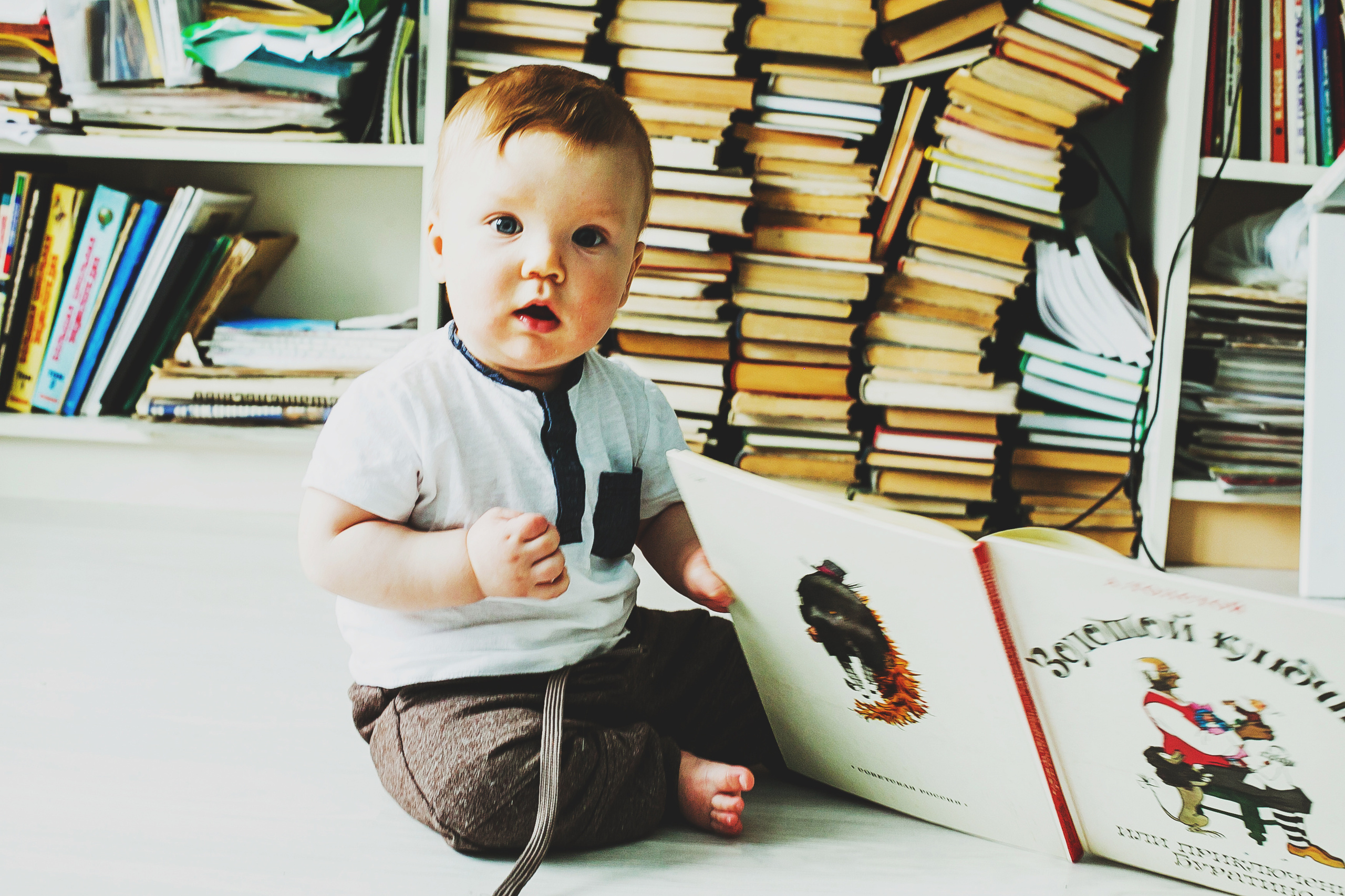 Лев. Фотограф Полина Егорова город Тюмень