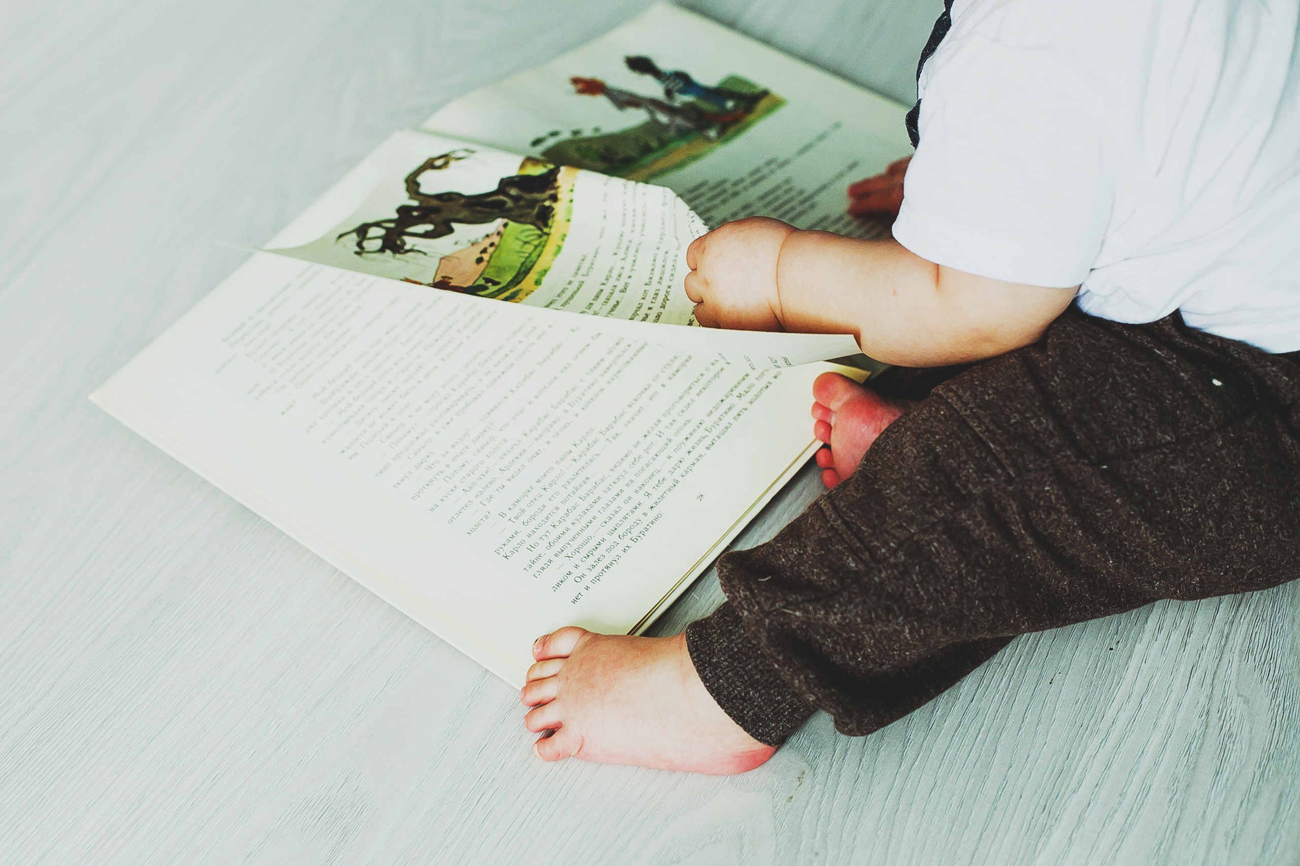 Лев. Фотограф Полина Егорова город Тюмень