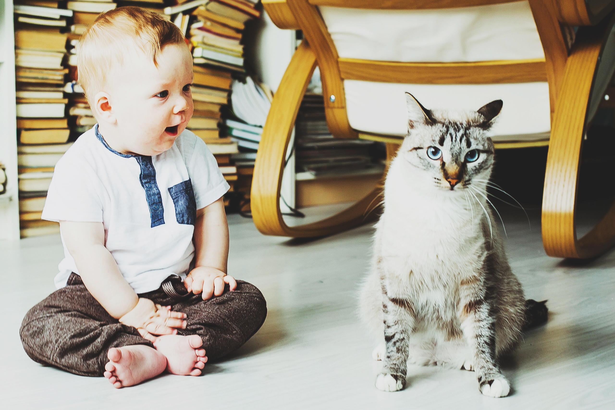 Лев. Фотограф Полина Егорова город Тюмень