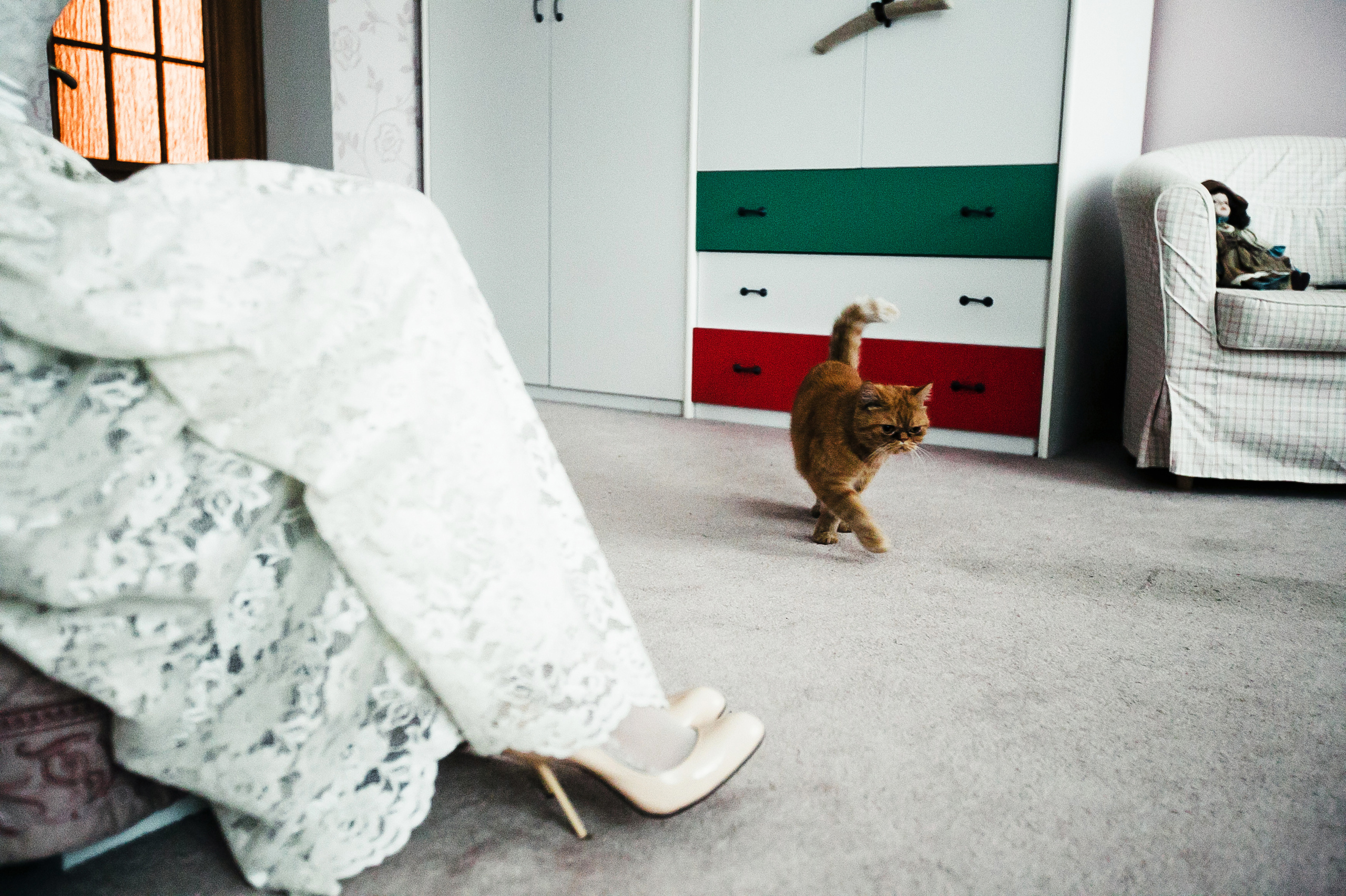 Михаил и Елена. Фотограф Полина Егорова город Тюмень