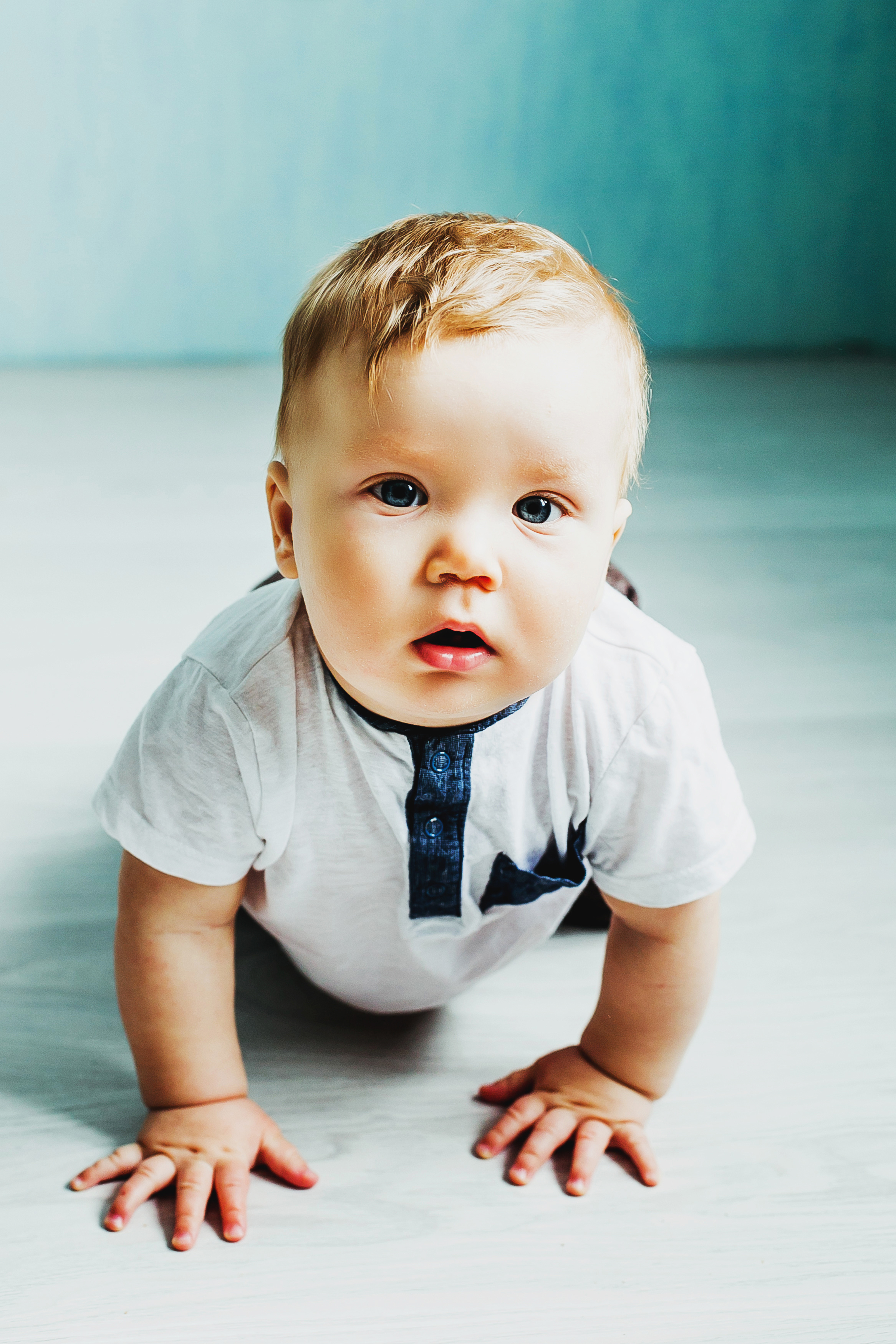 Лев. Фотограф Полина Егорова город Тюмень