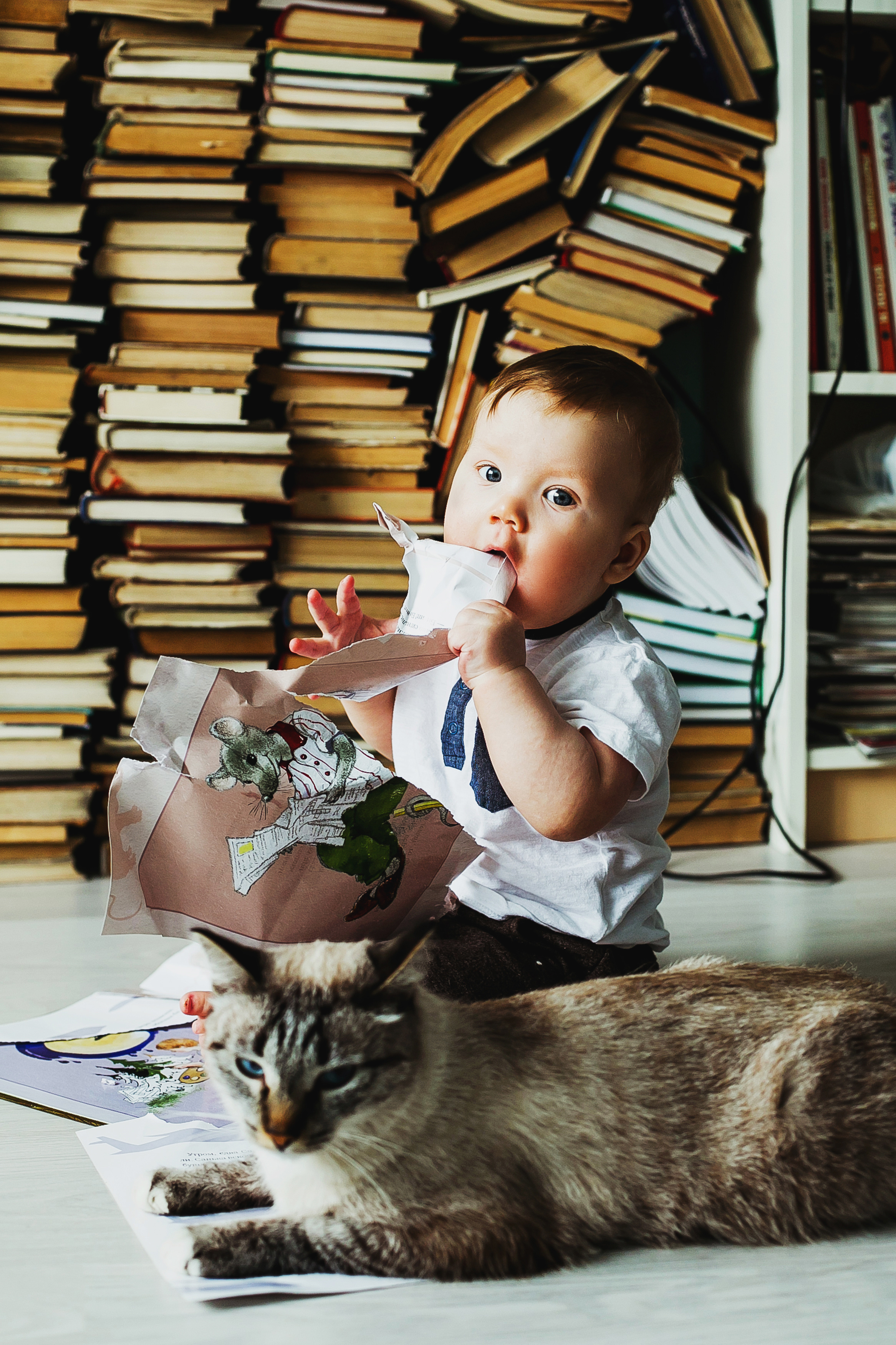 Лев. Фотограф Полина Егорова город Тюмень