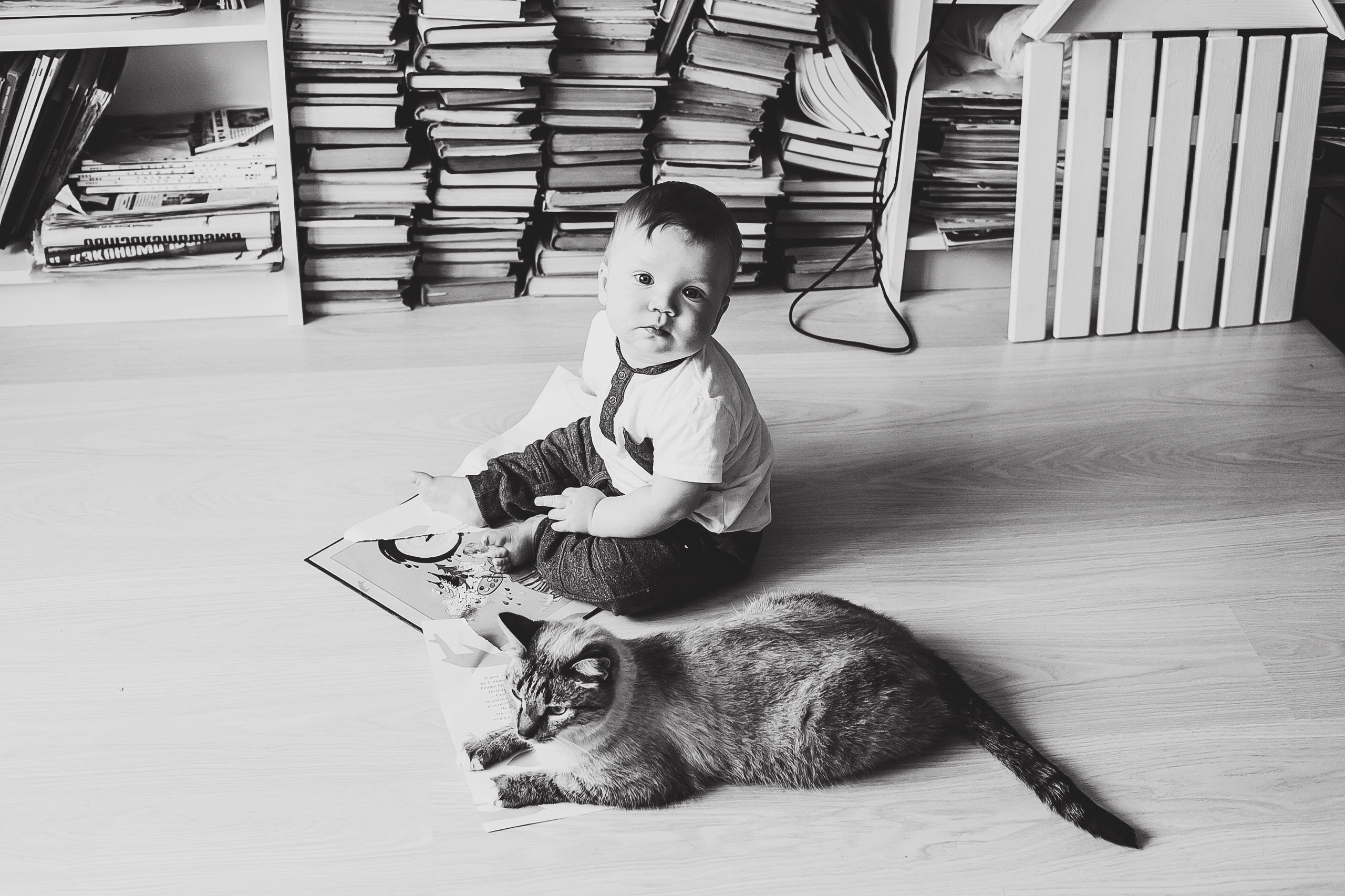 Лев. Фотограф Полина Егорова город Тюмень