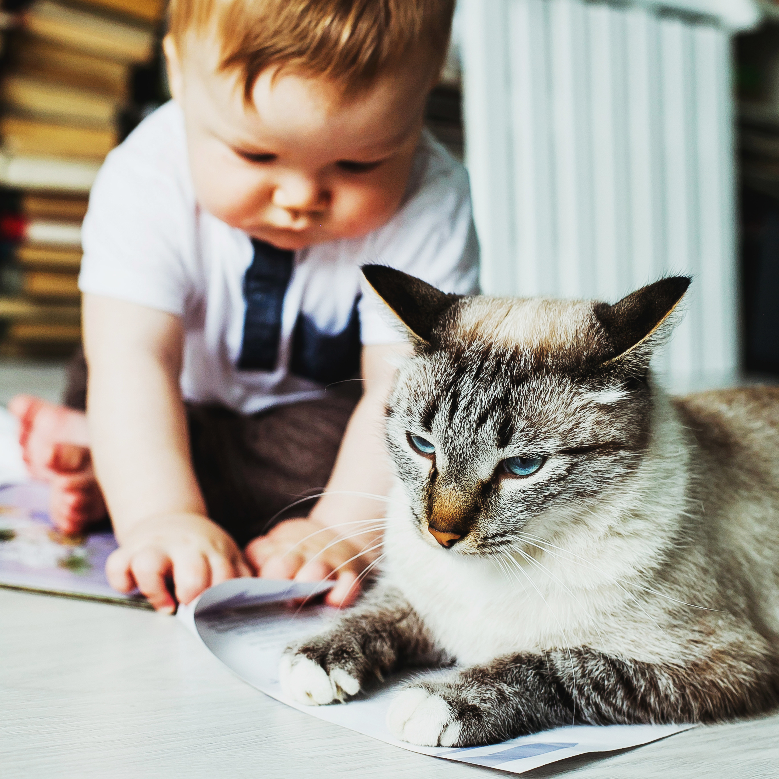 Лев. Фотограф Полина Егорова город Тюмень