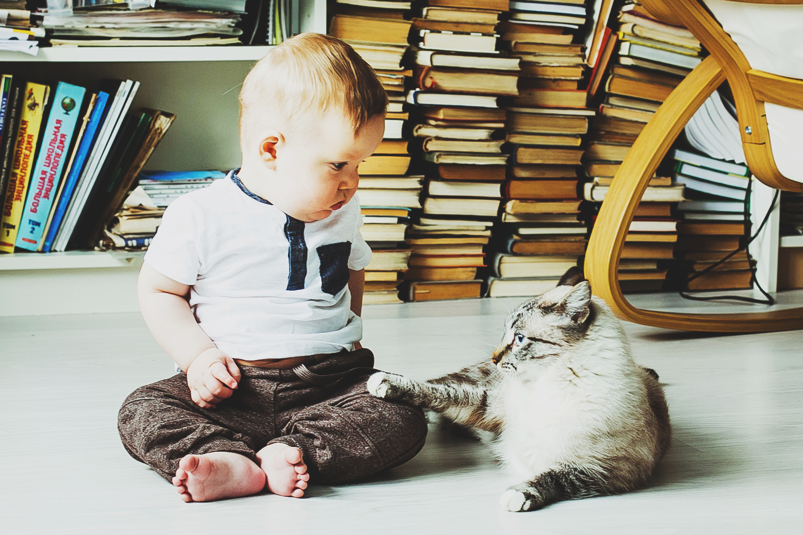 Лев. Фотограф Полина Егорова город Тюмень