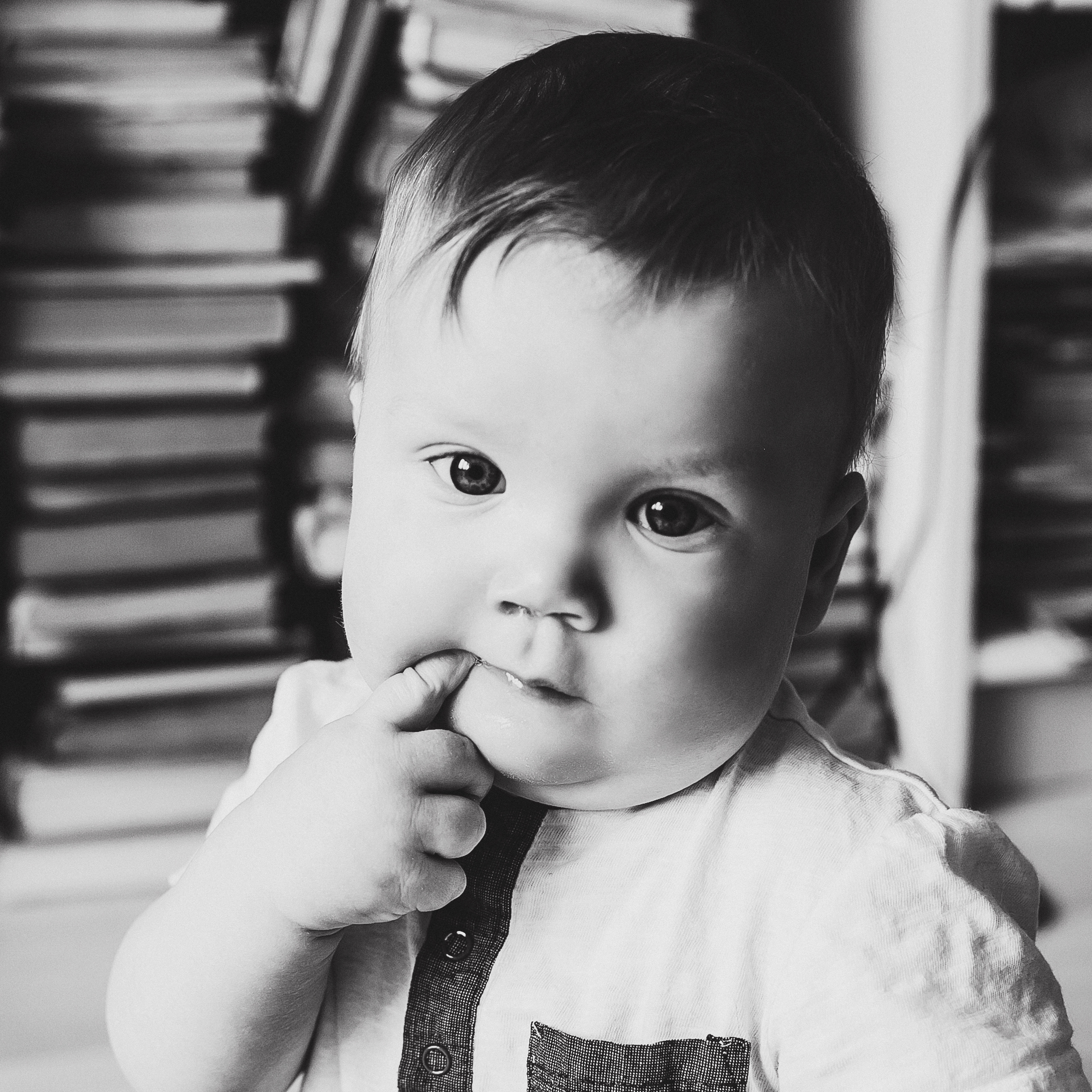 Лев. Фотограф Полина Егорова город Тюмень