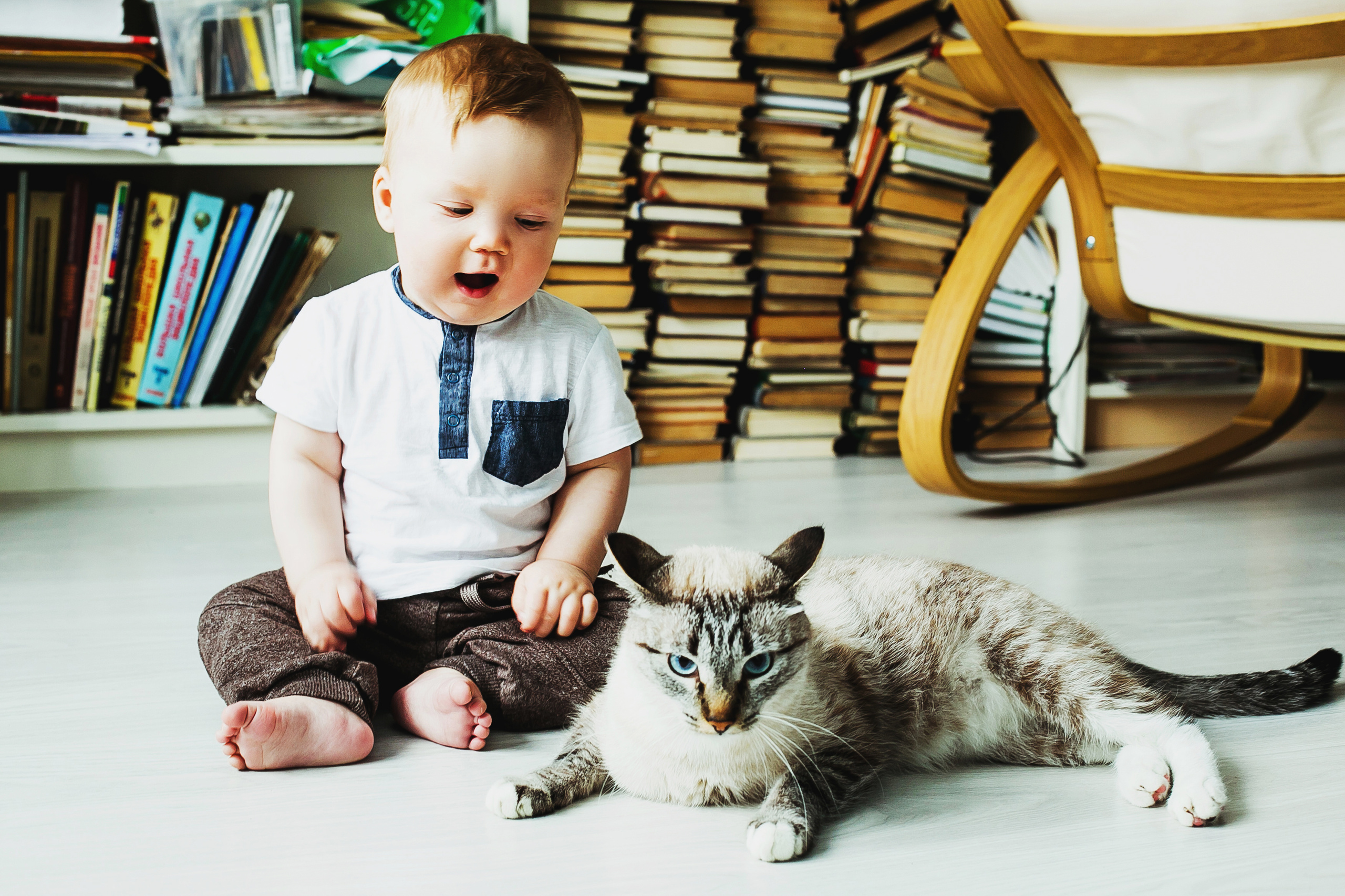Лев. Фотограф Полина Егорова город Тюмень