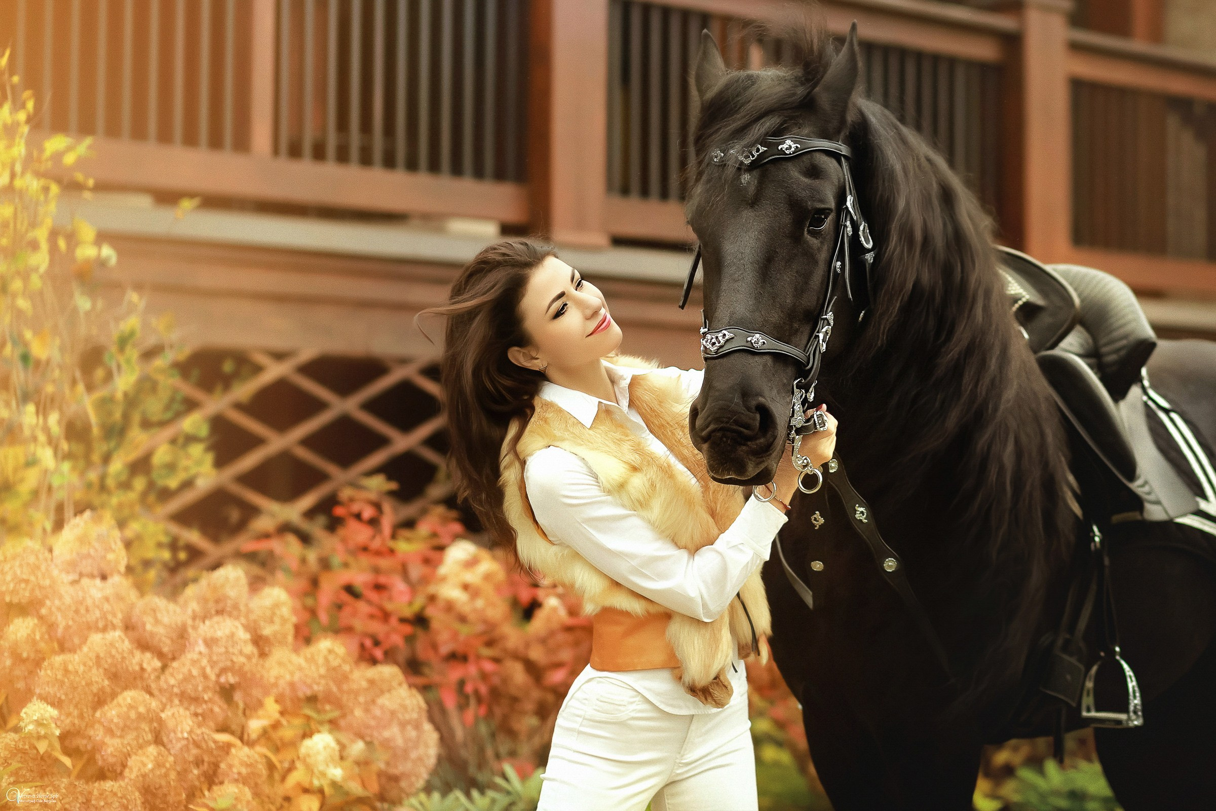 Фотосессии с лошадьми осенью. Фотограф женский и мужской портрет Санкт-Петербург
