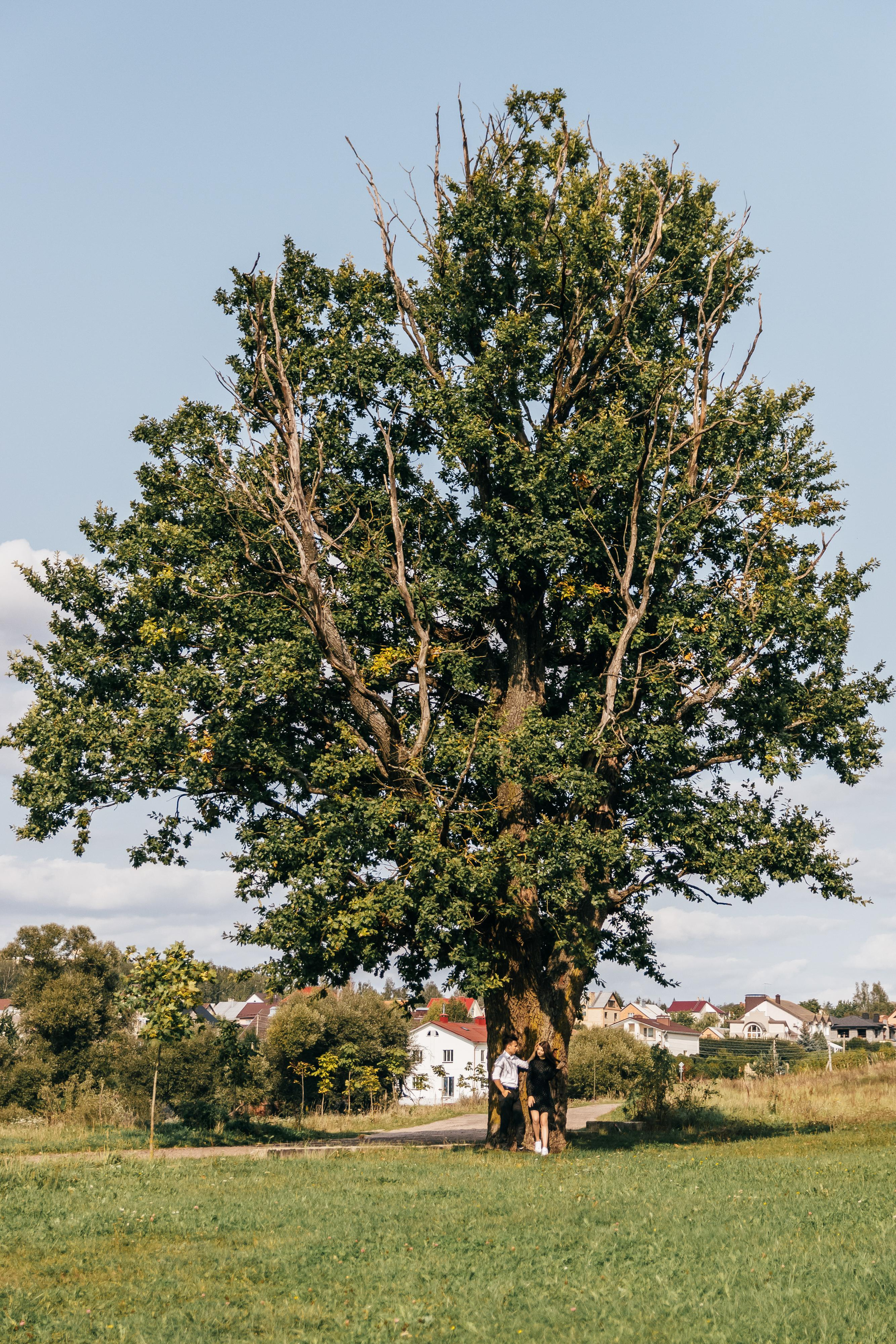 Свадебный фотограф Минск, Беларусь Кирилл Напреев. Свадебный фотограф Минск, Фаниполь, Беларусь Кирилл Напреев
