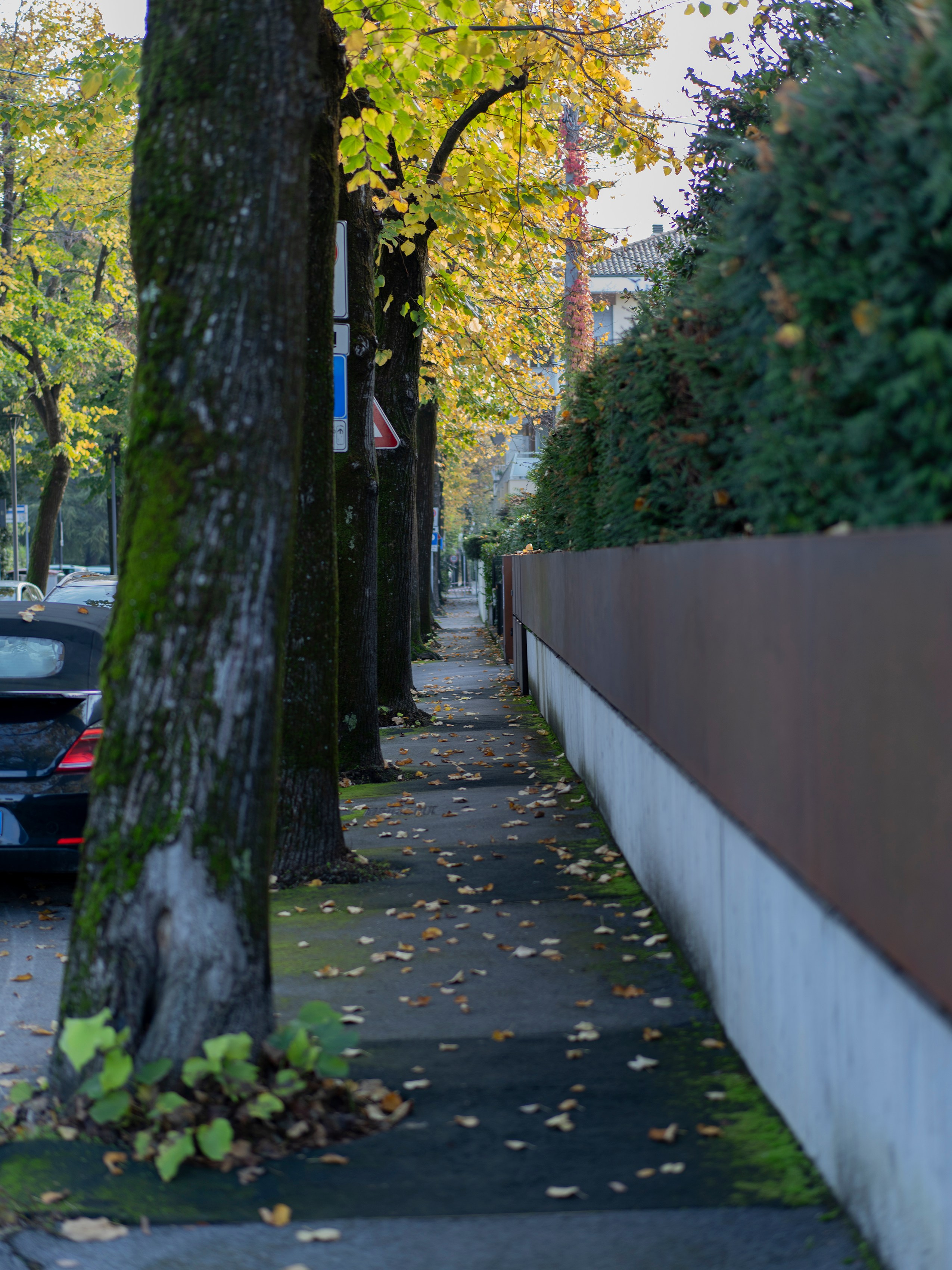 Италия. Зарисовки путешествий. Творческий фотограф Ирина Баландина.  Санкт-Петербург, Мурманск