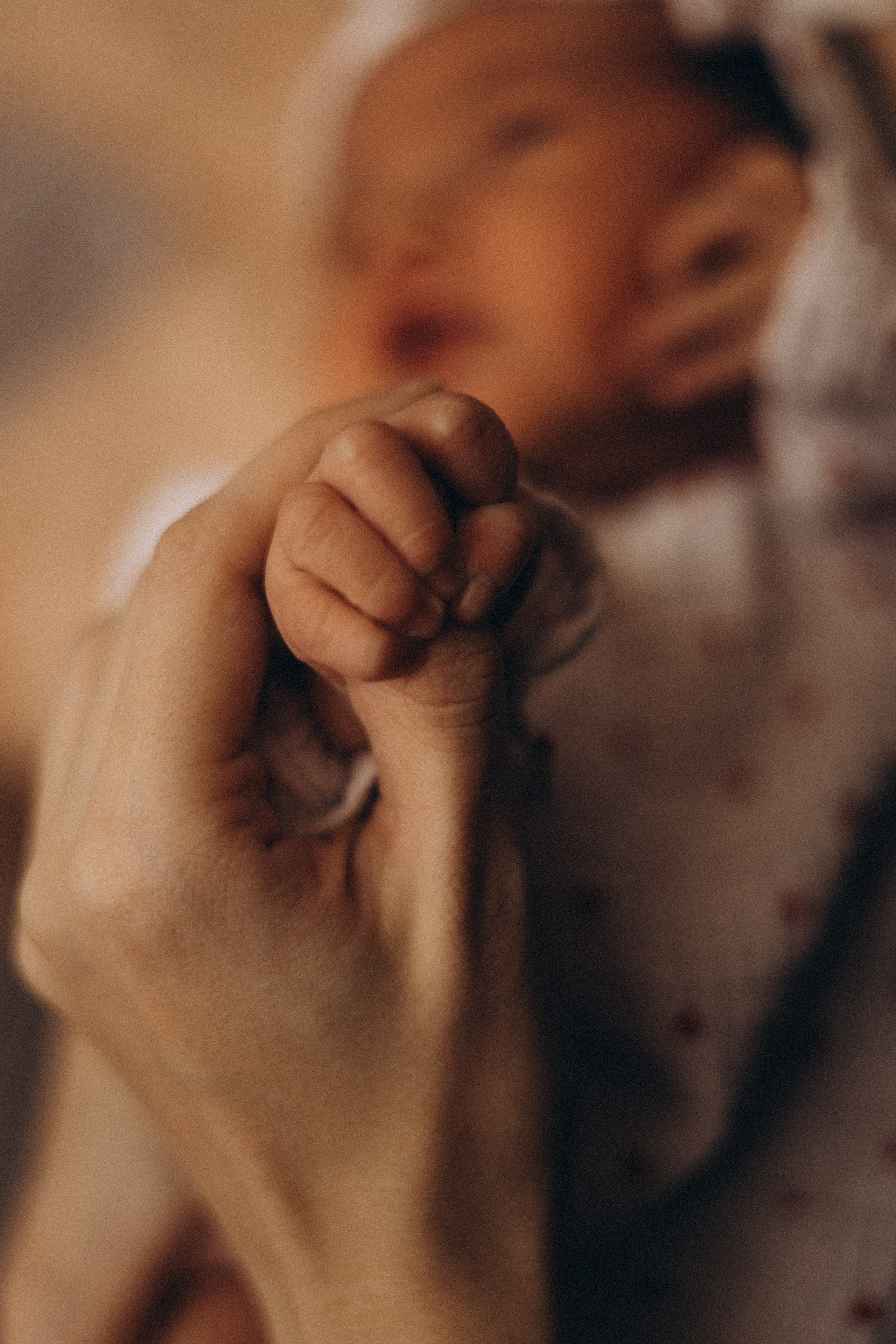 Лиза и Дарьяна. Семейный фотограф в Красноярске Екатерина Гайнутдинова