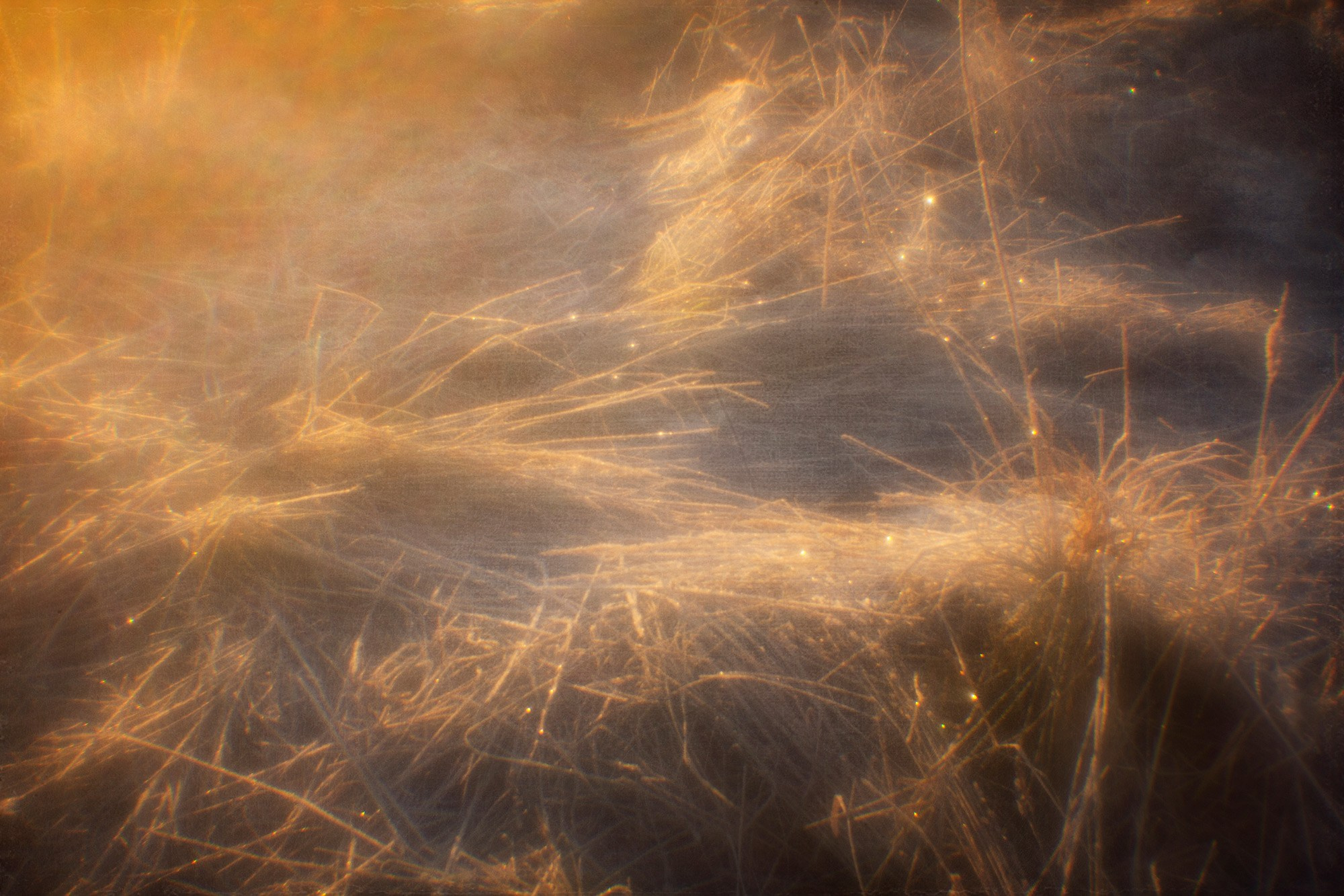 Пробуждение (2020). Мария Завьялова | фотограф и преподаватель фотографии