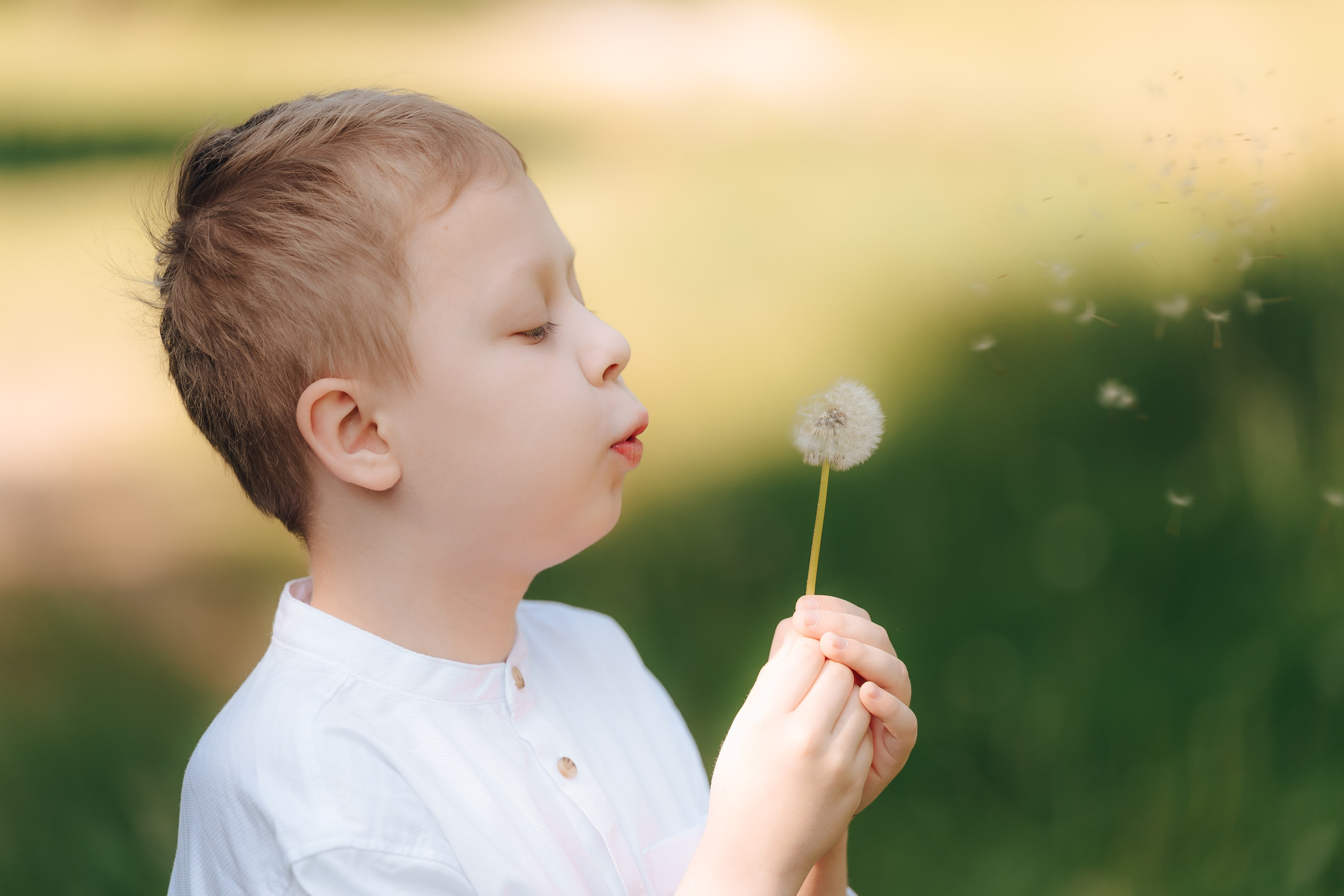 Братишки. Детский и семейный фотограф Катерина Мишина