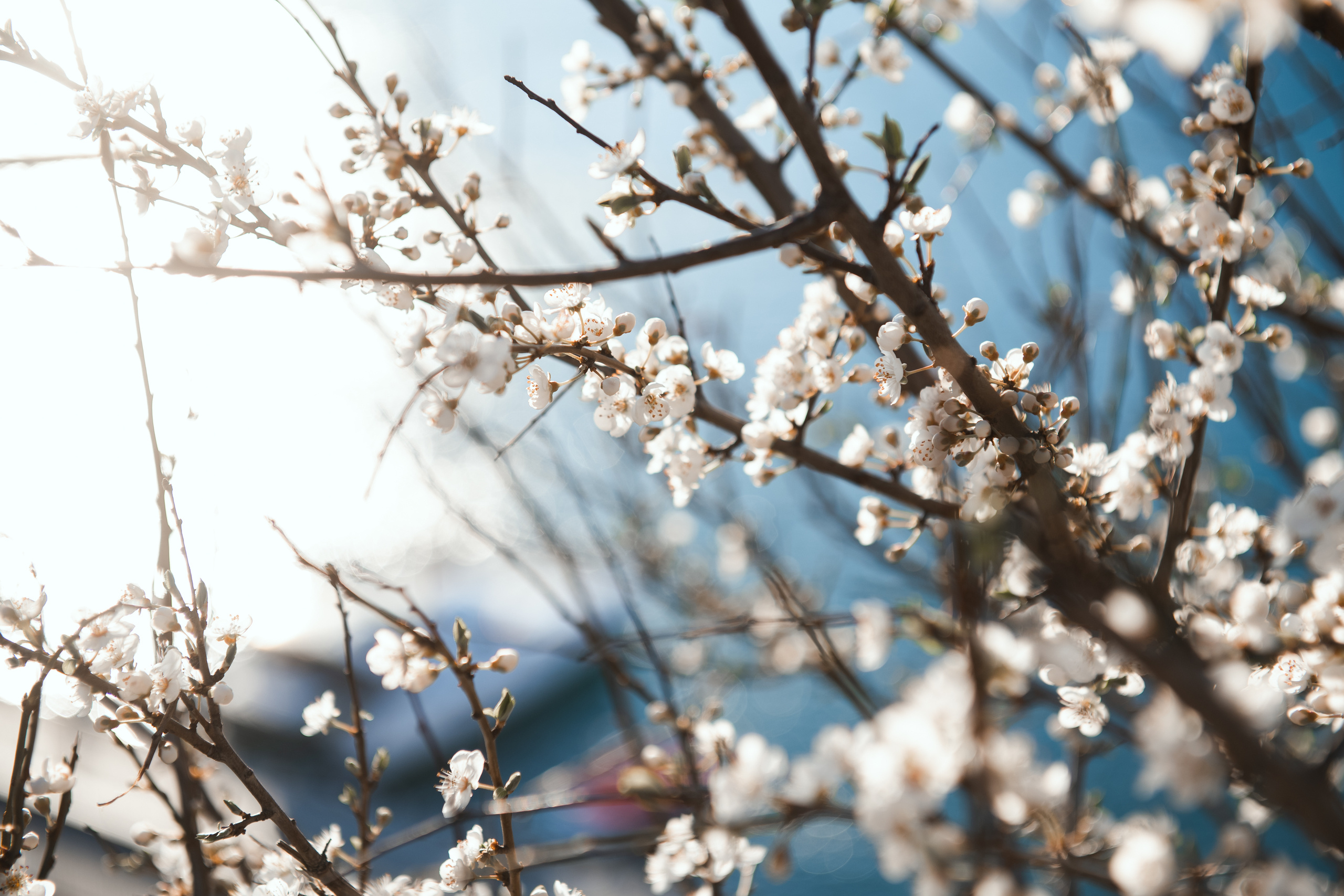 Крым 2019. Фотограф Илья Солдаткин