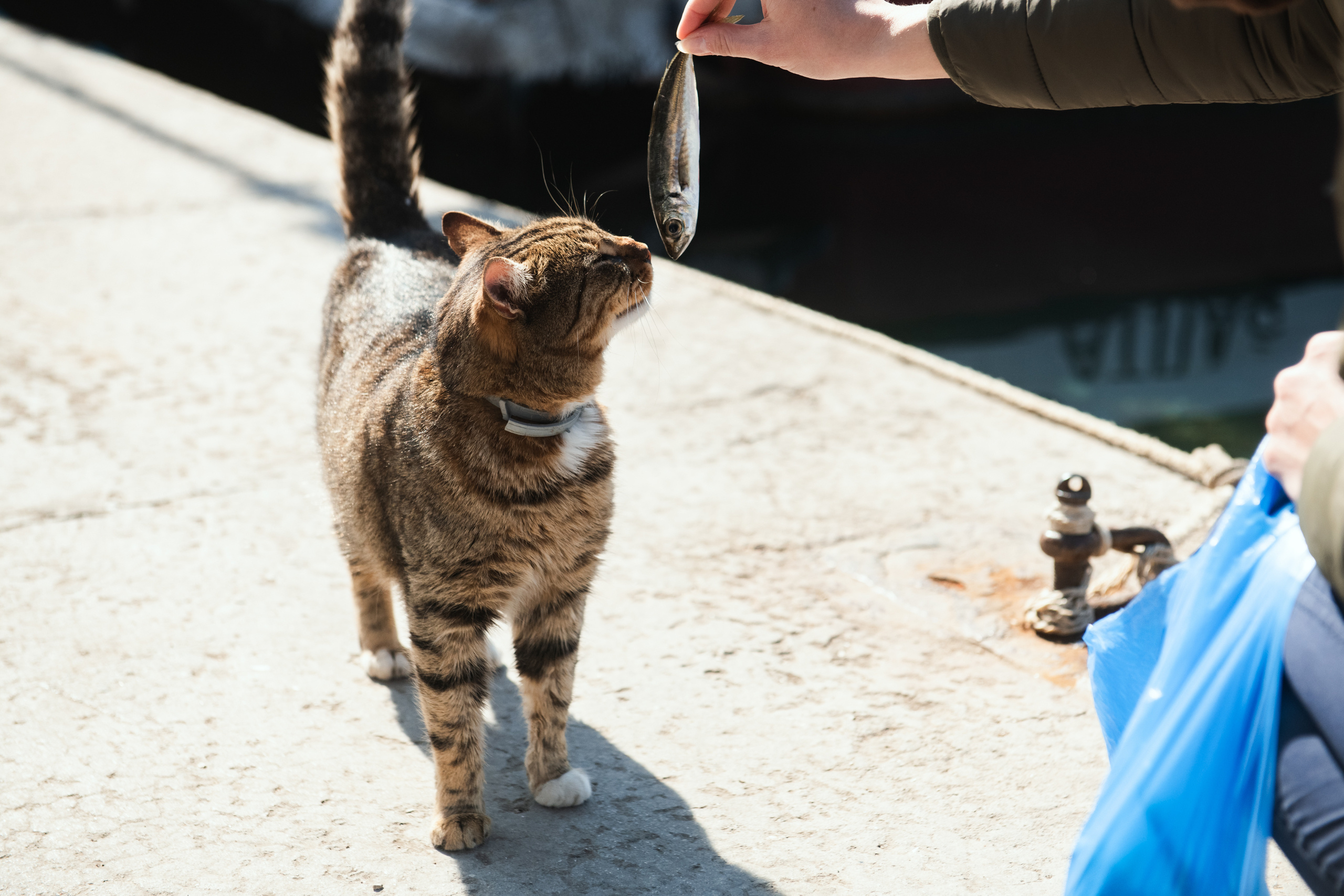 Крым 2019. Фотограф Илья Солдаткин