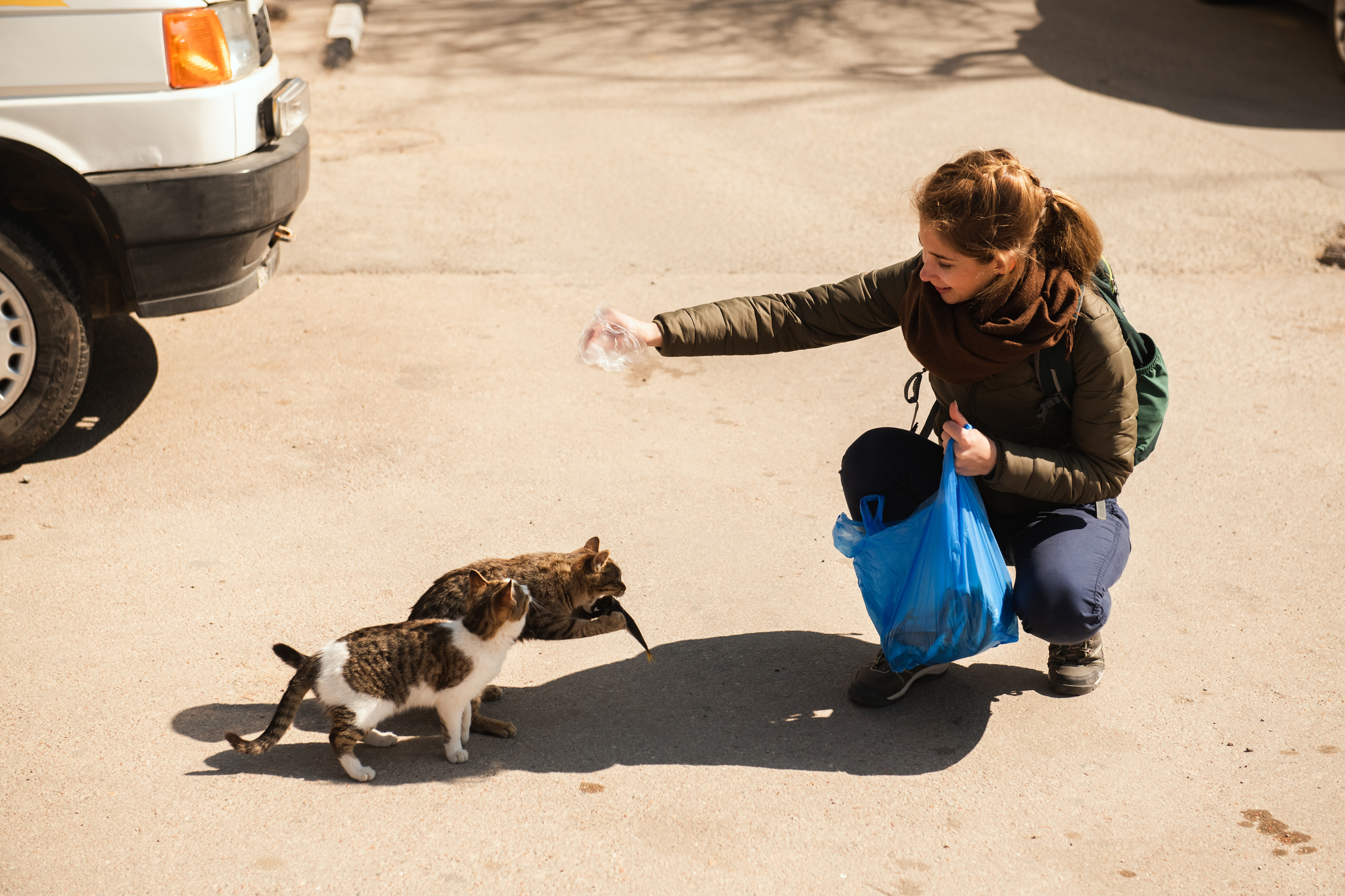 Крым 2019. Фотограф Илья Солдаткин