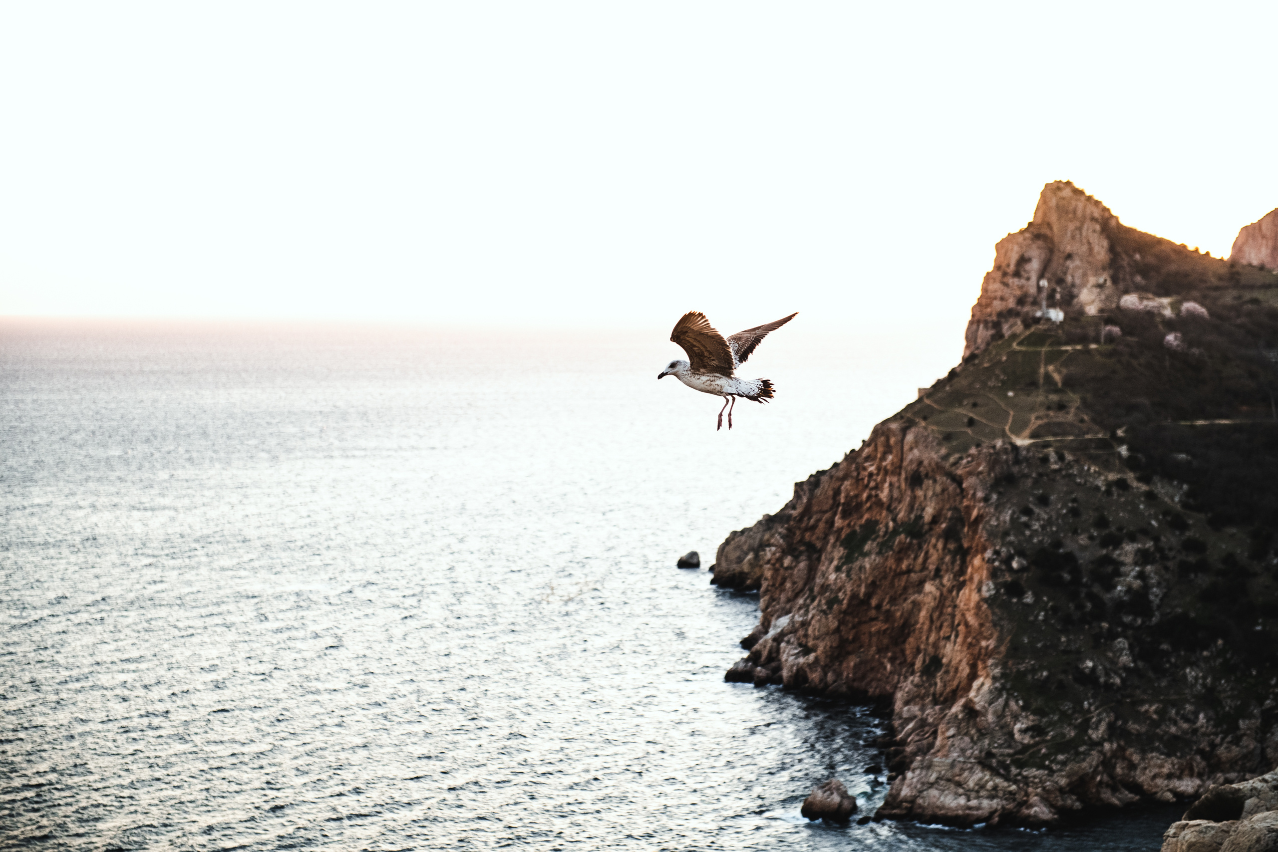 Крым 2019. Фотограф Илья Солдаткин