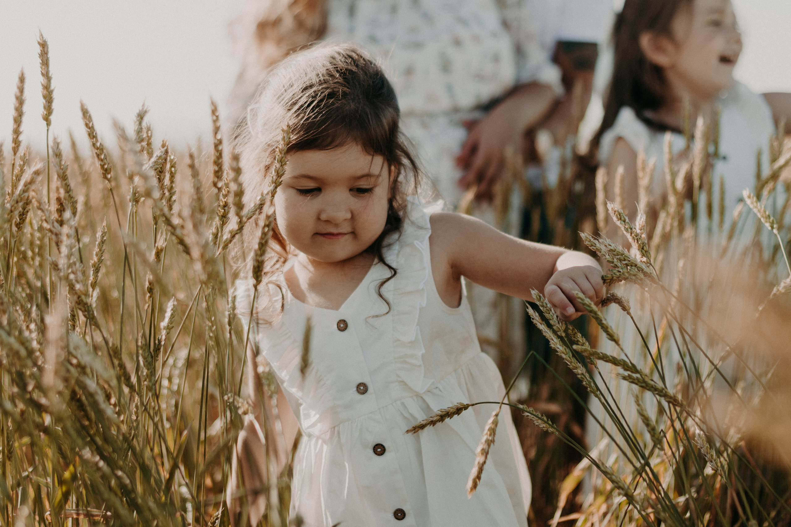 Семья Сохоревых. Фотограф в Челябинске Любовь Денисенко