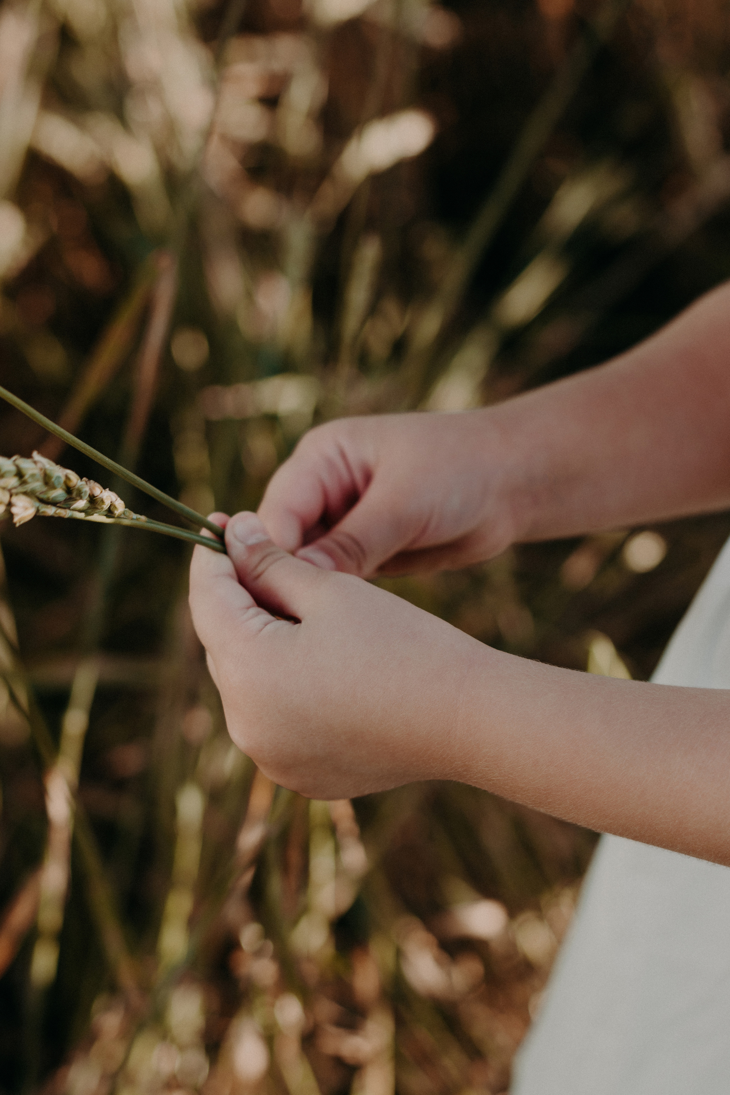 Семья Сохоревых. Фотограф в Челябинске Любовь Денисенко