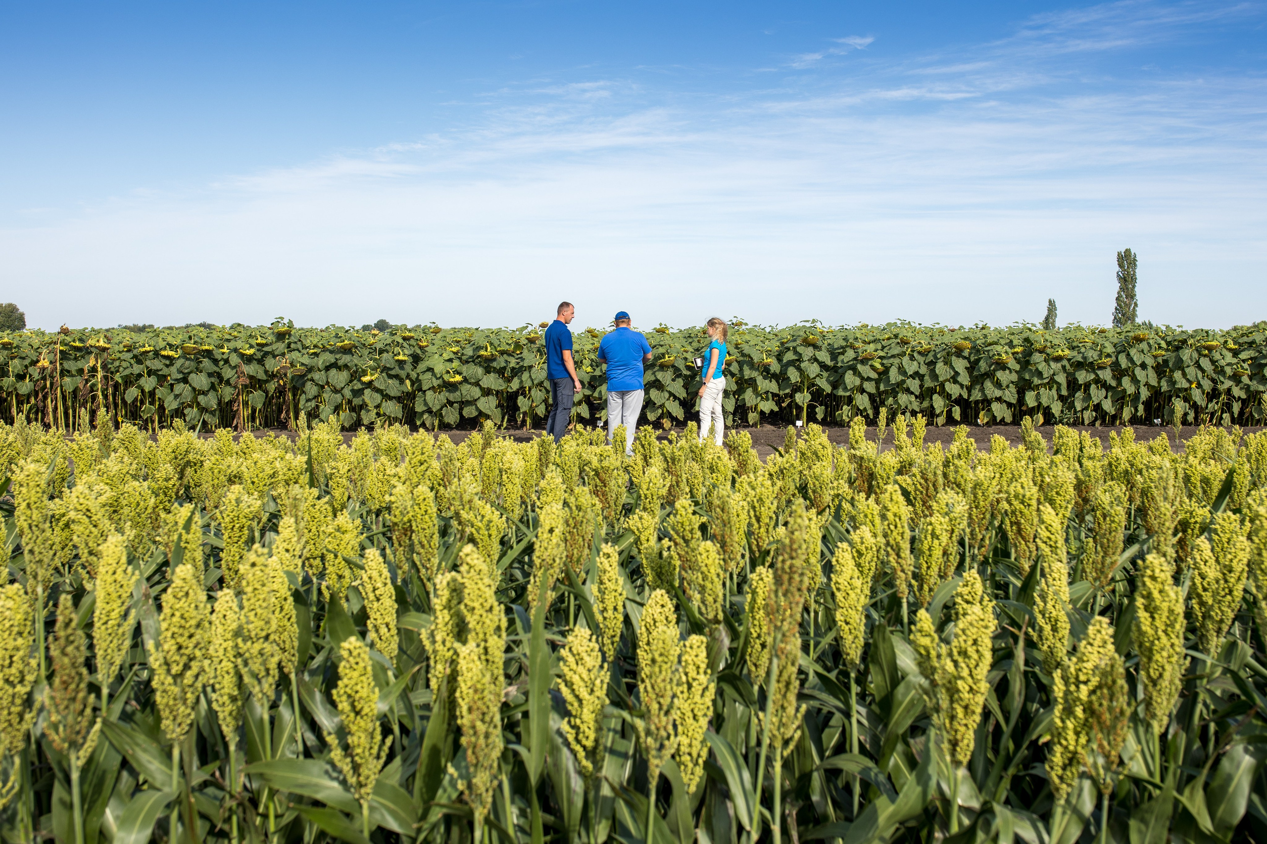 Решения для сельского хозяйства BASF 16.08.2022. Владислав Волков | Фотография и видеосъемка в Воронеже