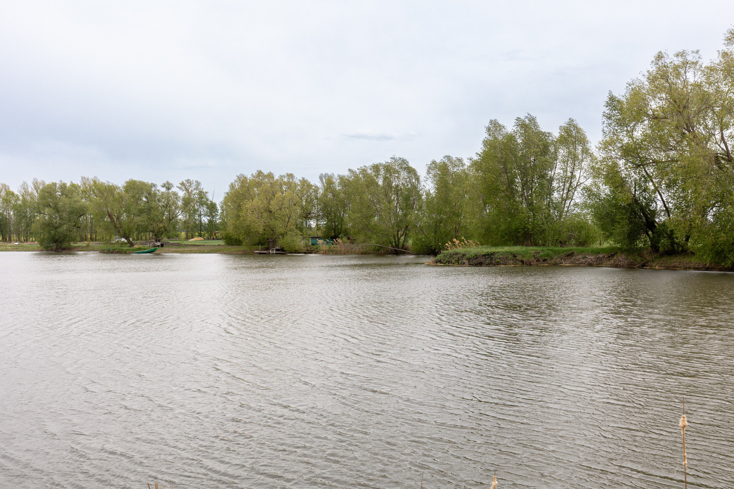 Приусадебный участок. Владислав Волков | Фотография и видеосъемка в Воронеже