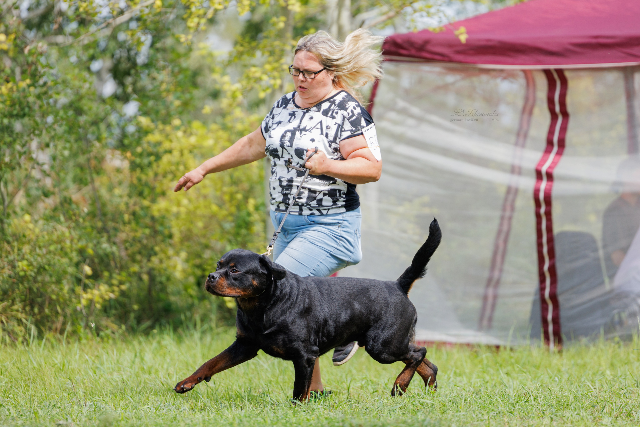Астана 2хCACIB 17-18.08.2024. Фотограф-анималист Юлия Германика