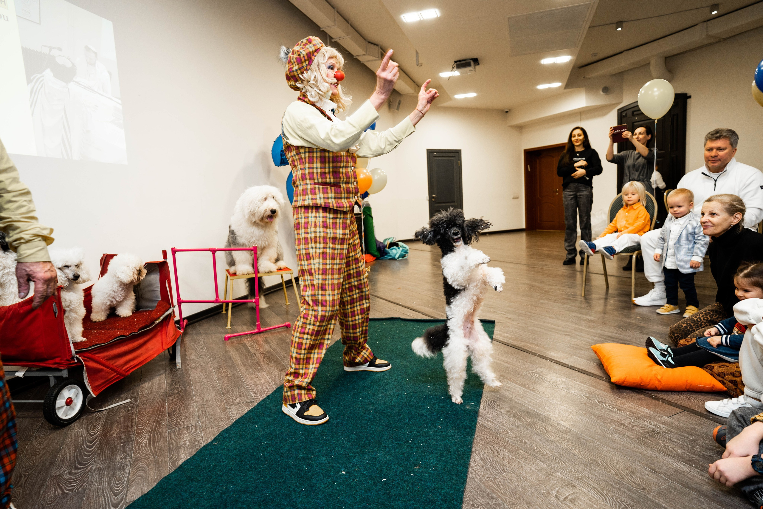 Даниэль h-day. Фотограф Абакумова Анастасия