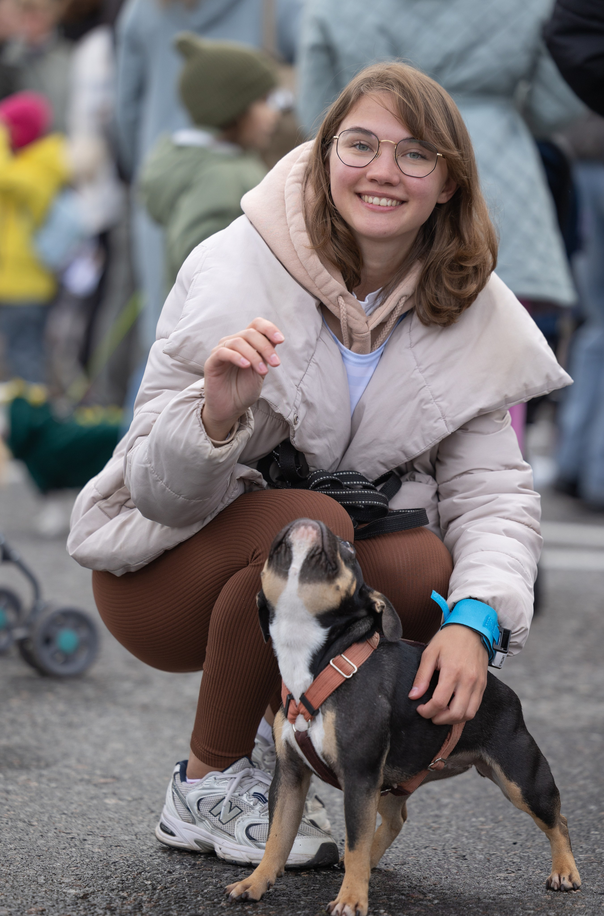 Кросс «Быстрый пёс», Балтийская Жемчужина. Главная