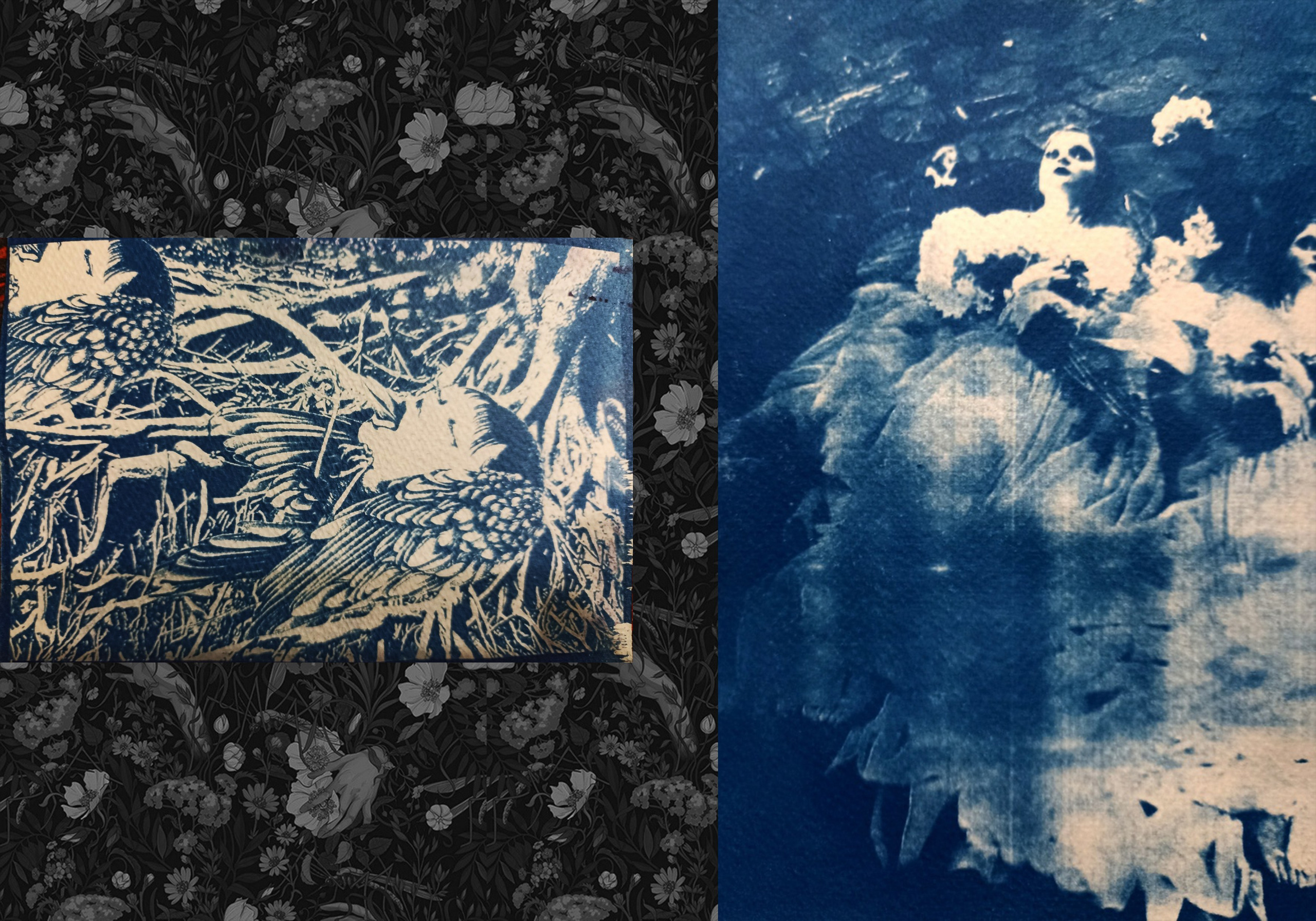 Ира Бринкус | Лес. Private image