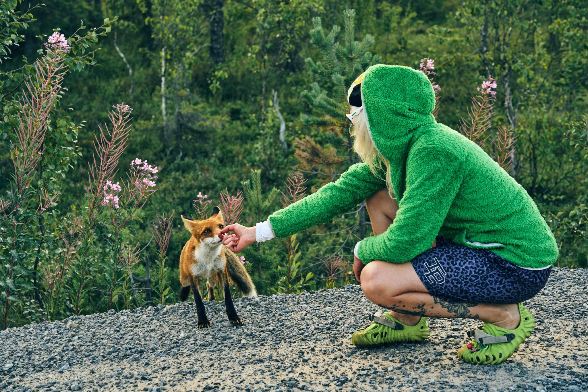 Путешествие на Север в 2023 году. Внедорожные путешествия — OFFROADTRIP