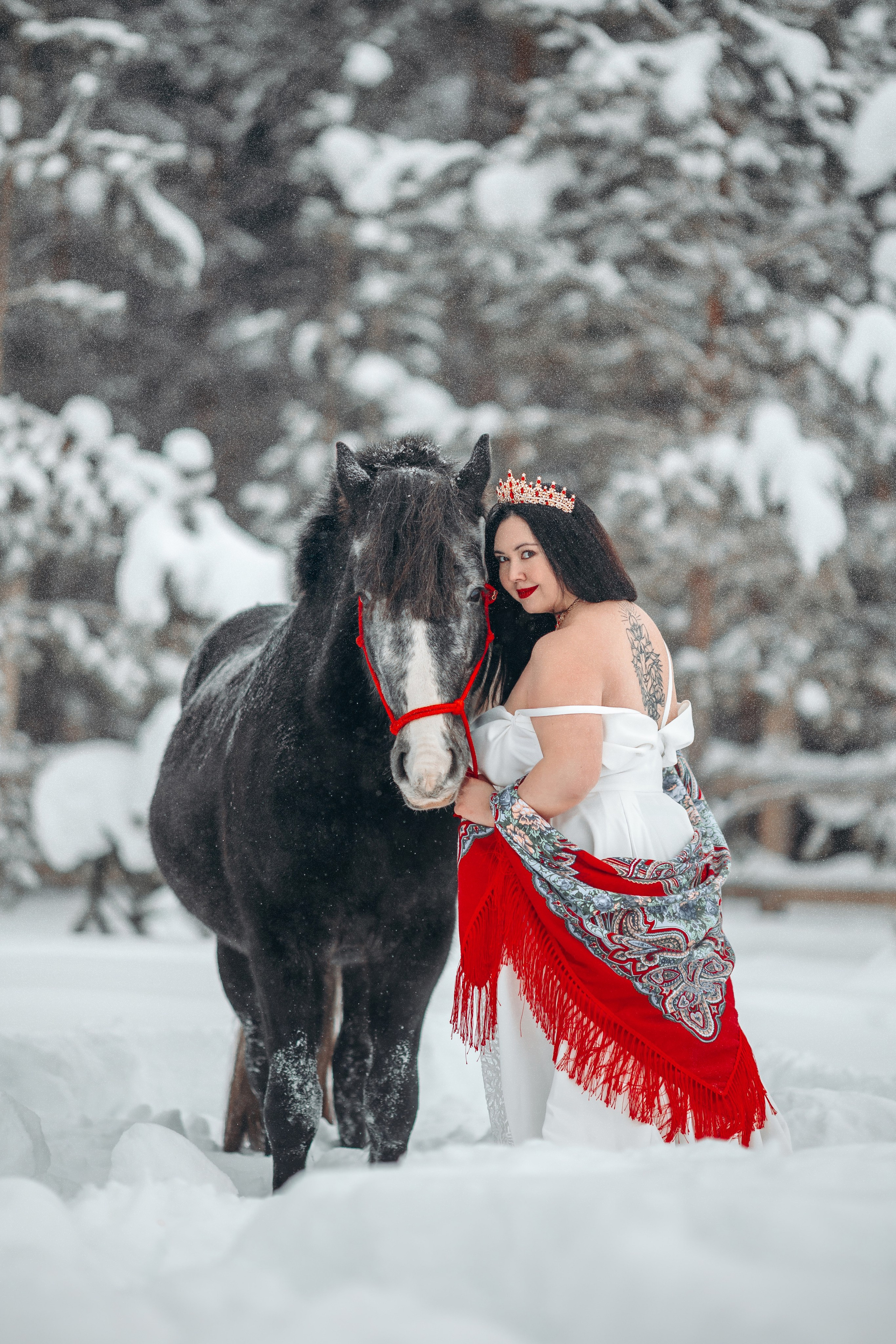 Яблоки на снегу. Анна Молчанова конный фотограф в Тюмени | фотосессии с лошадьми Тюмень