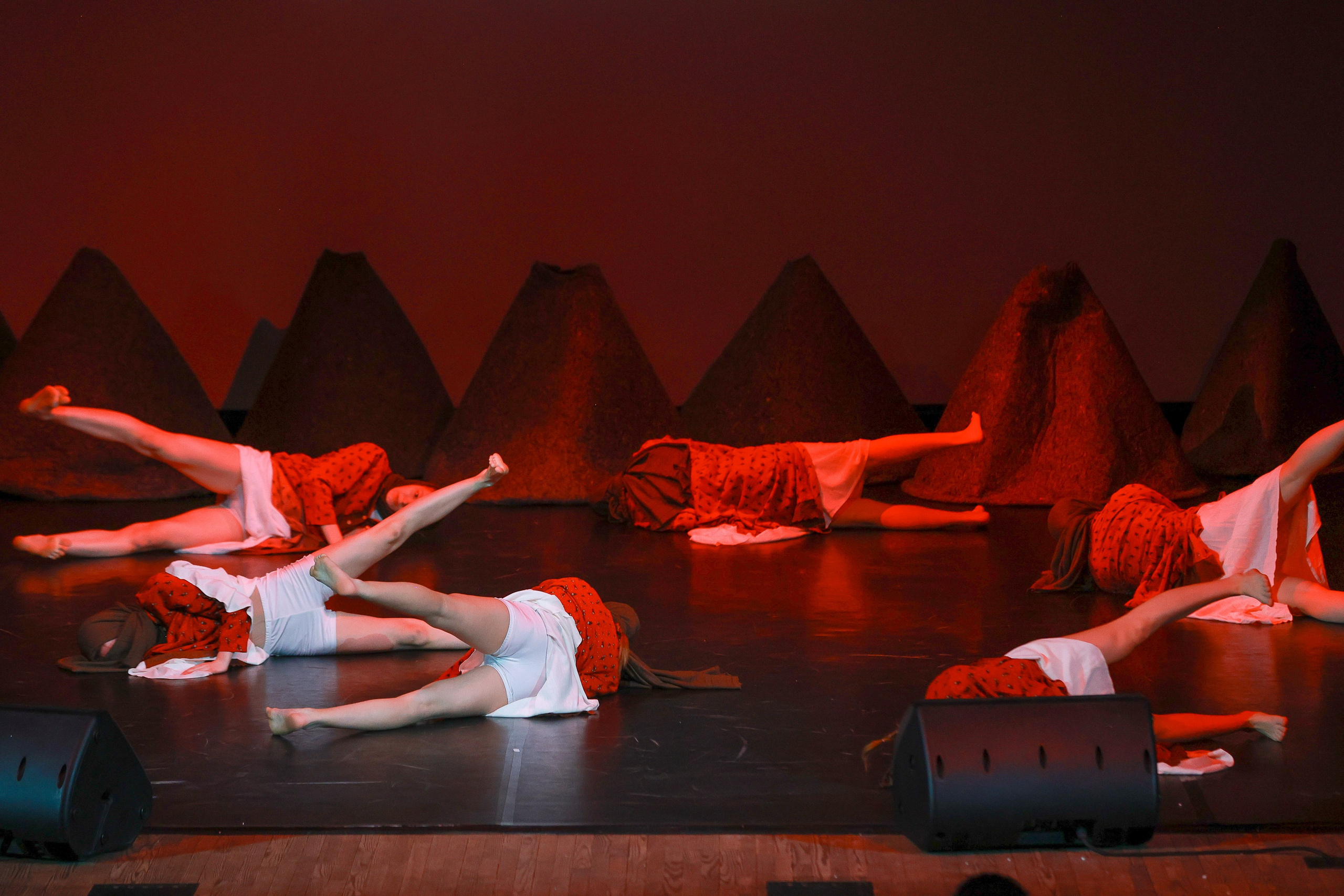 Небесные ласточки на Танц ЭКСПО 2026. Фотограф Юлия Мальцева