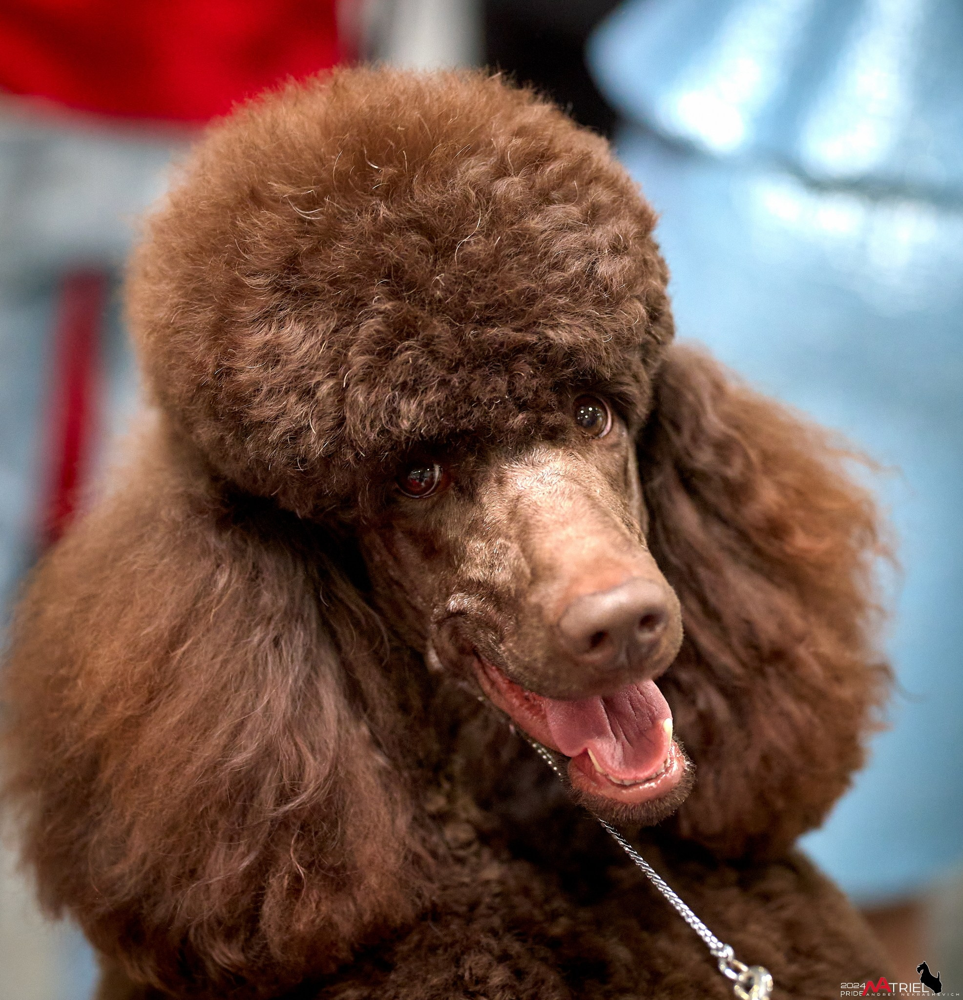 Съемка на выставке в Крокусе