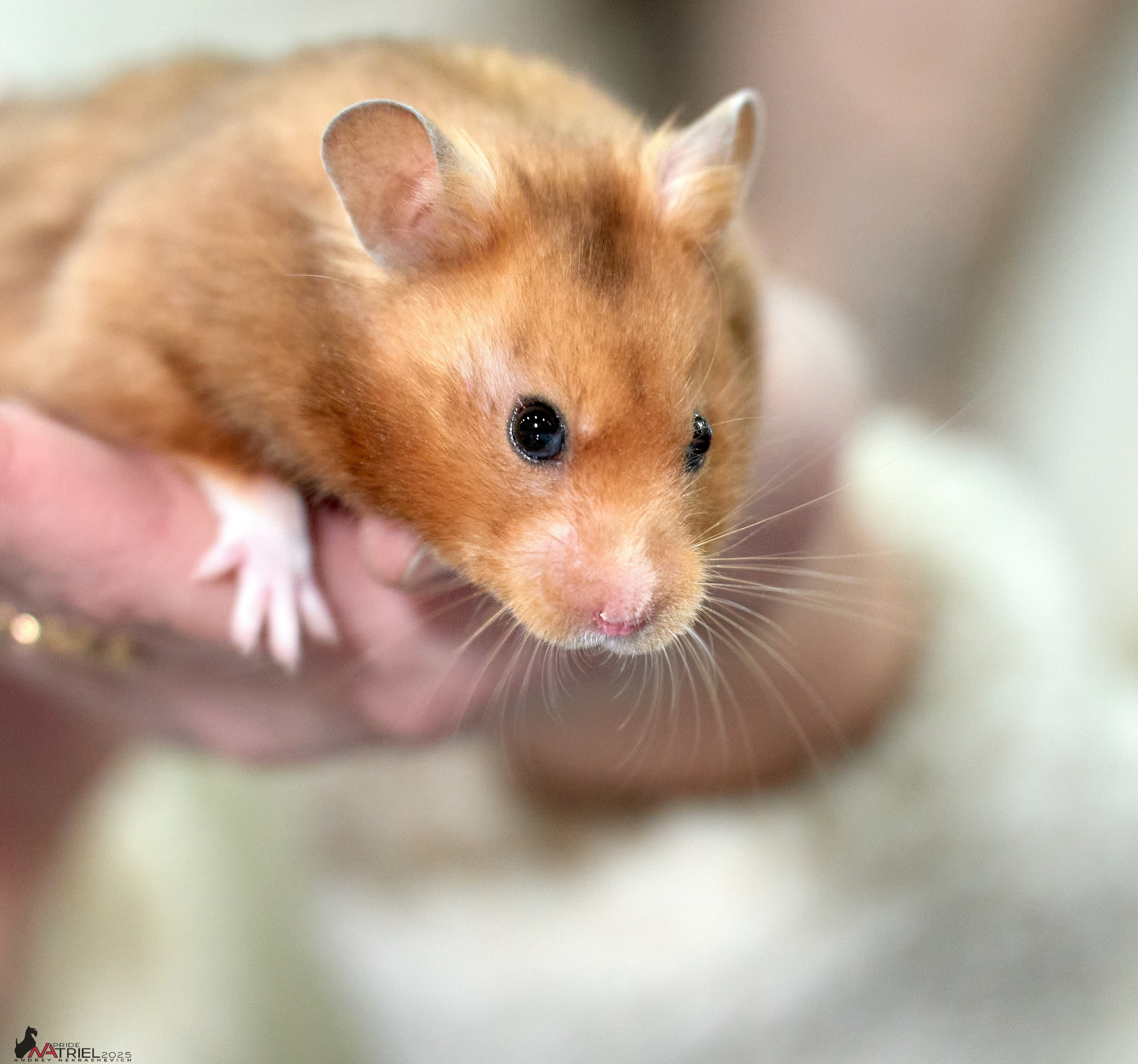 Репортаж с ЗООФЕСТ в Крокусе