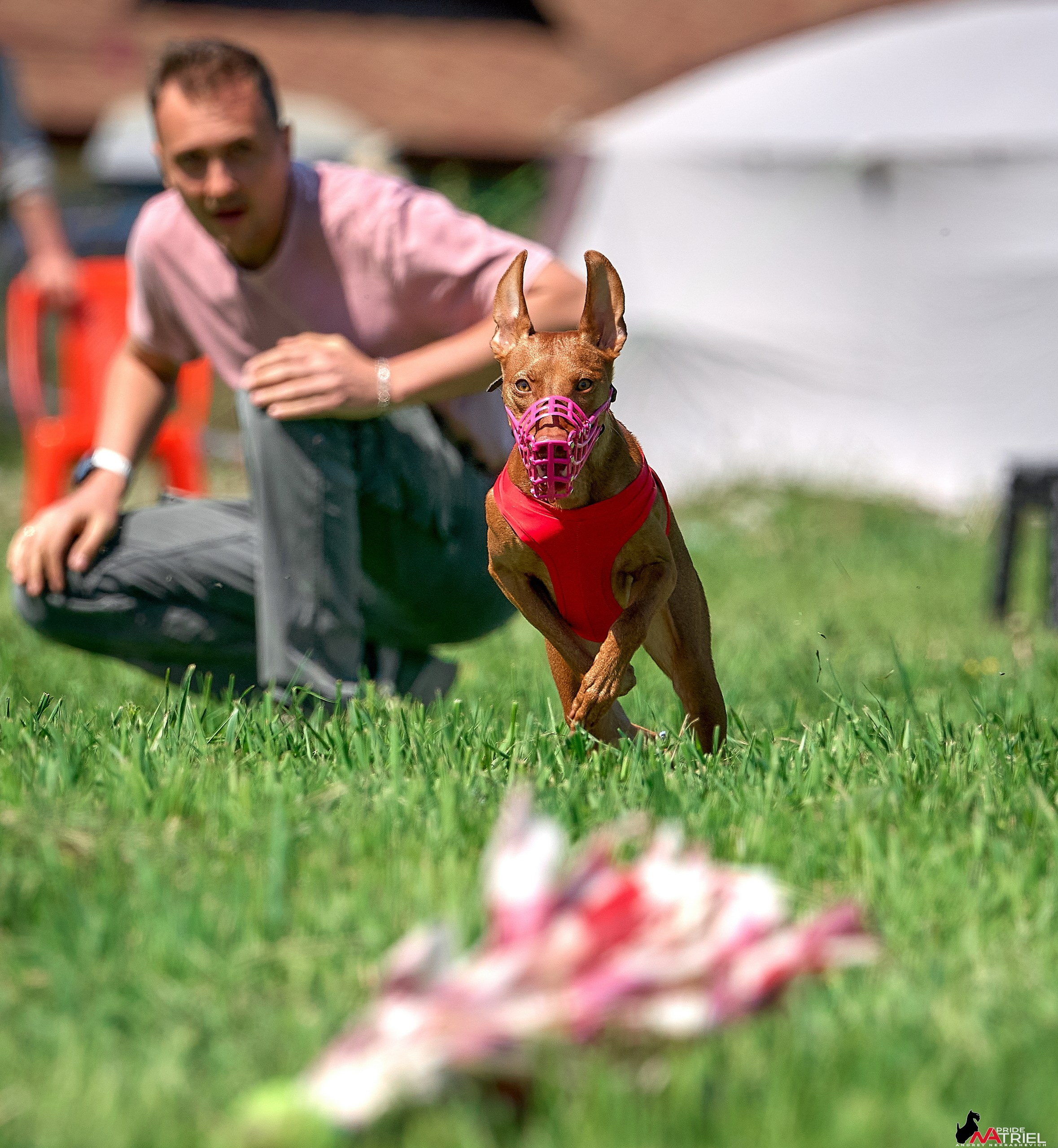 Съемка курсинг — галерея NATRIEL