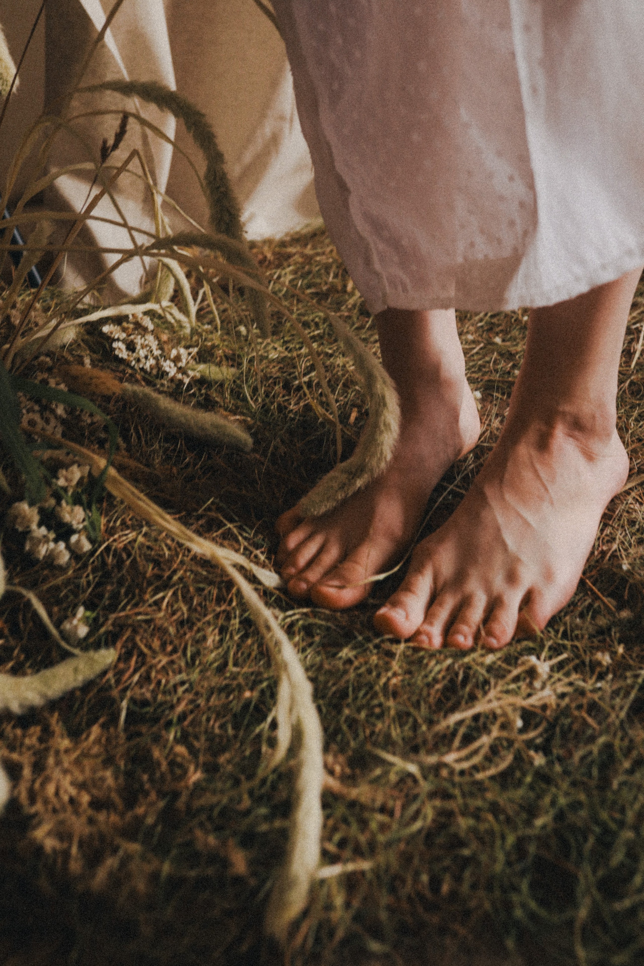 Пасторальные мотивы